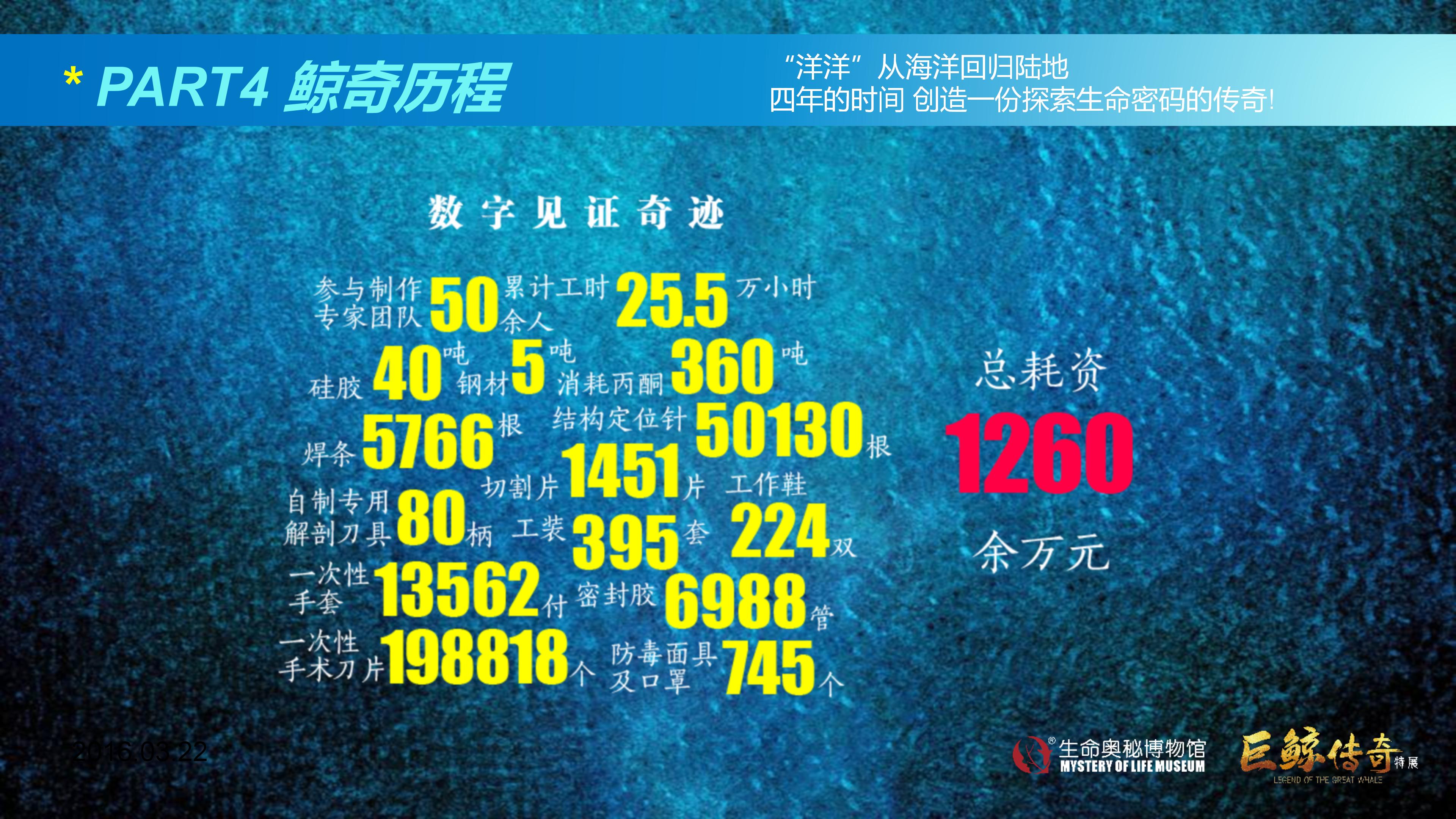 巨鲸传奇展览推介资料2020.11.09_58.jpg