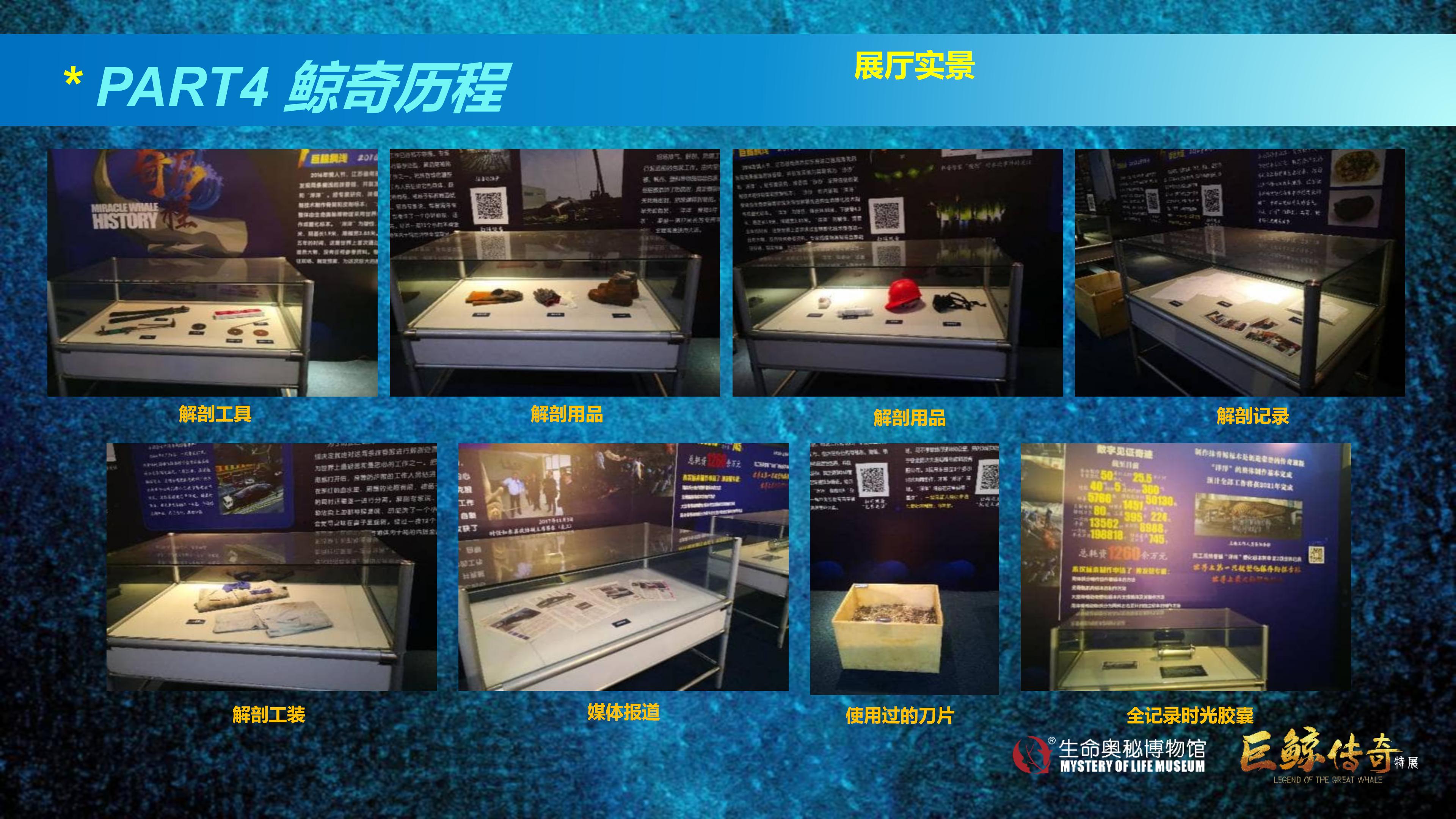 巨鲸传奇展览推介资料2020.11.09_60.jpg