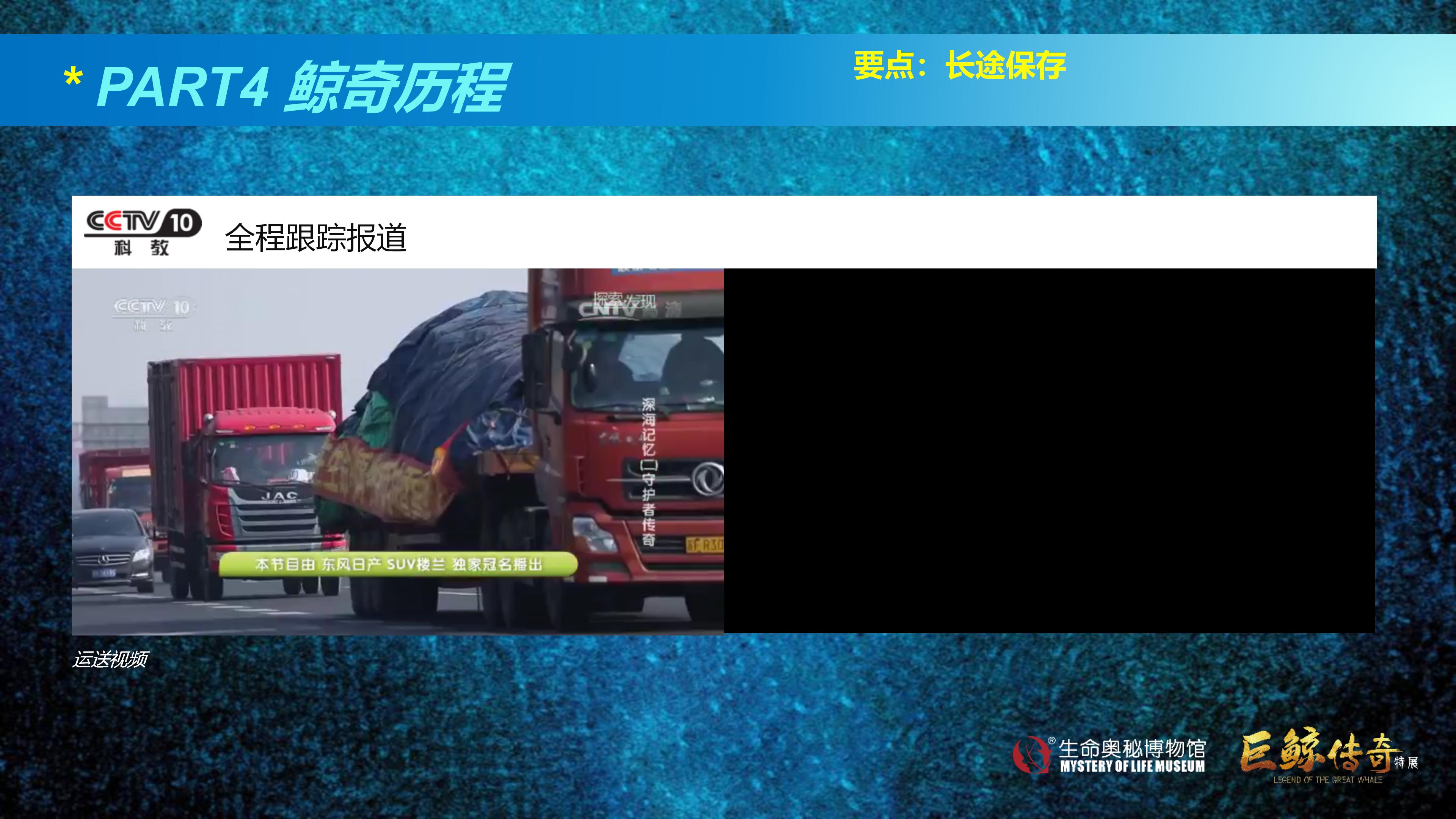 巨鲸传奇展览推介资料2020.11.09_55.jpg
