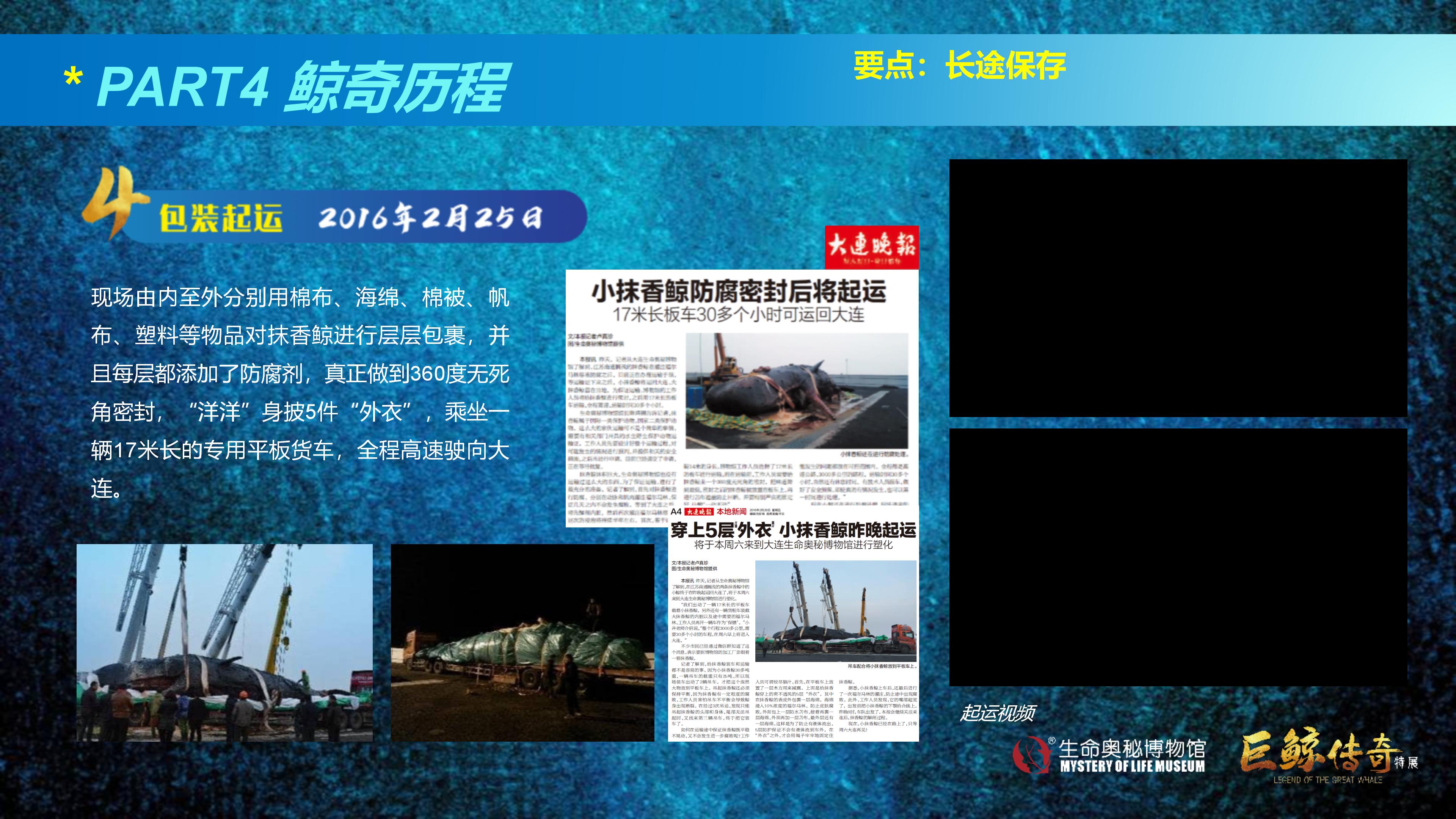 巨鲸传奇展览推介资料2020.11.09_53.jpg