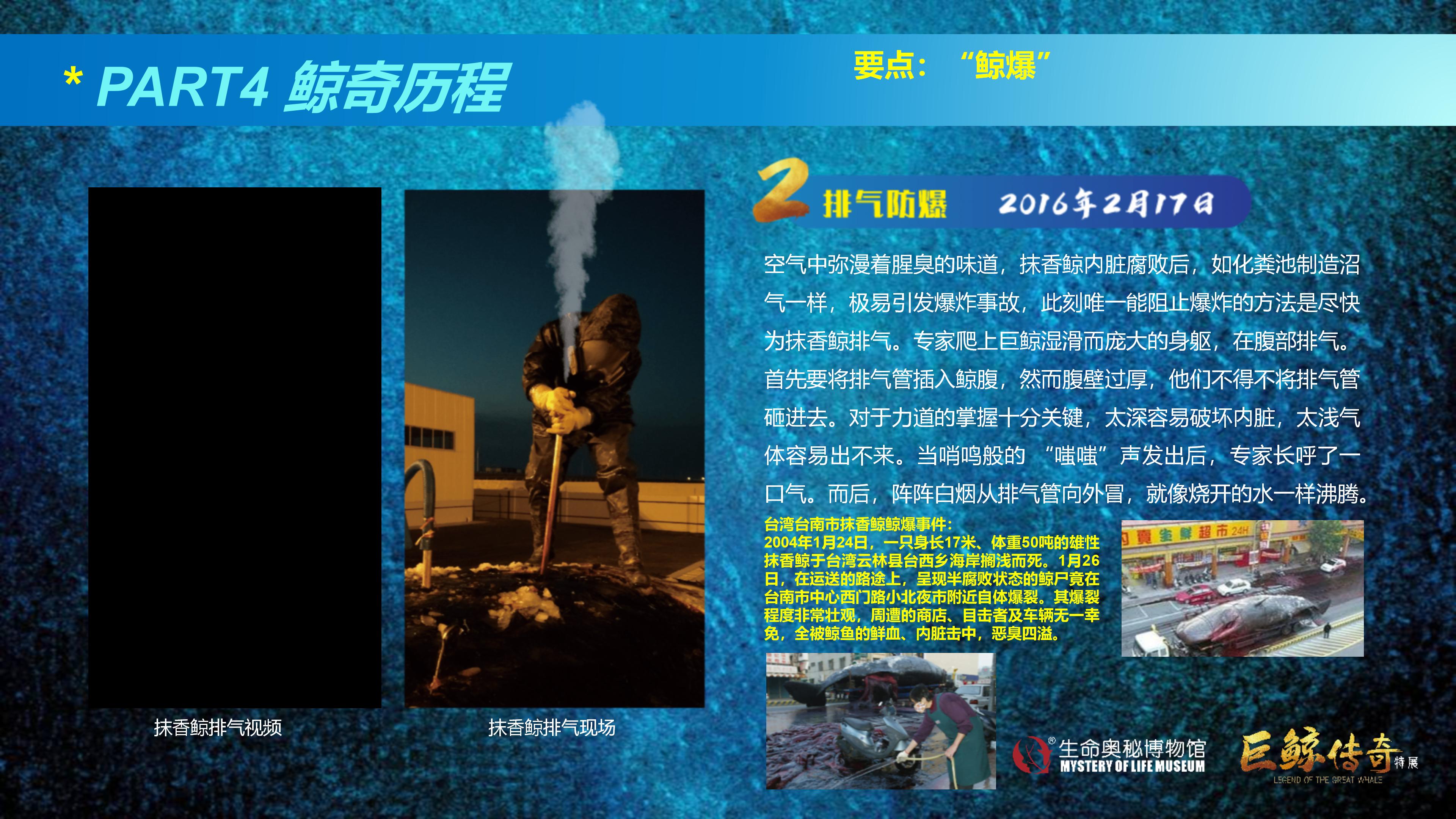 巨鲸传奇展览推介资料2020.11.09_51.jpg