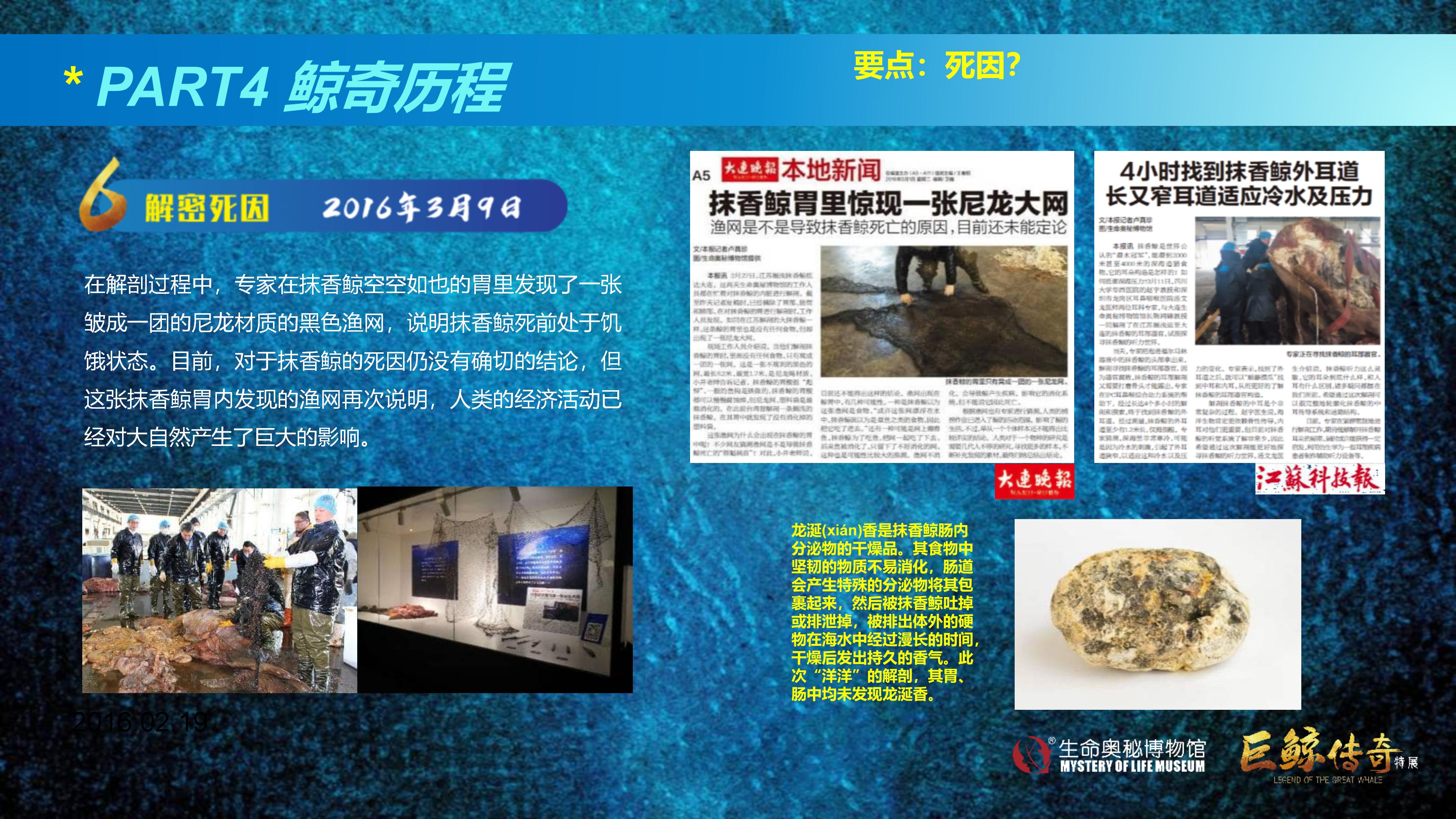 巨鲸传奇展览推介资料2020.11.09_56.jpg