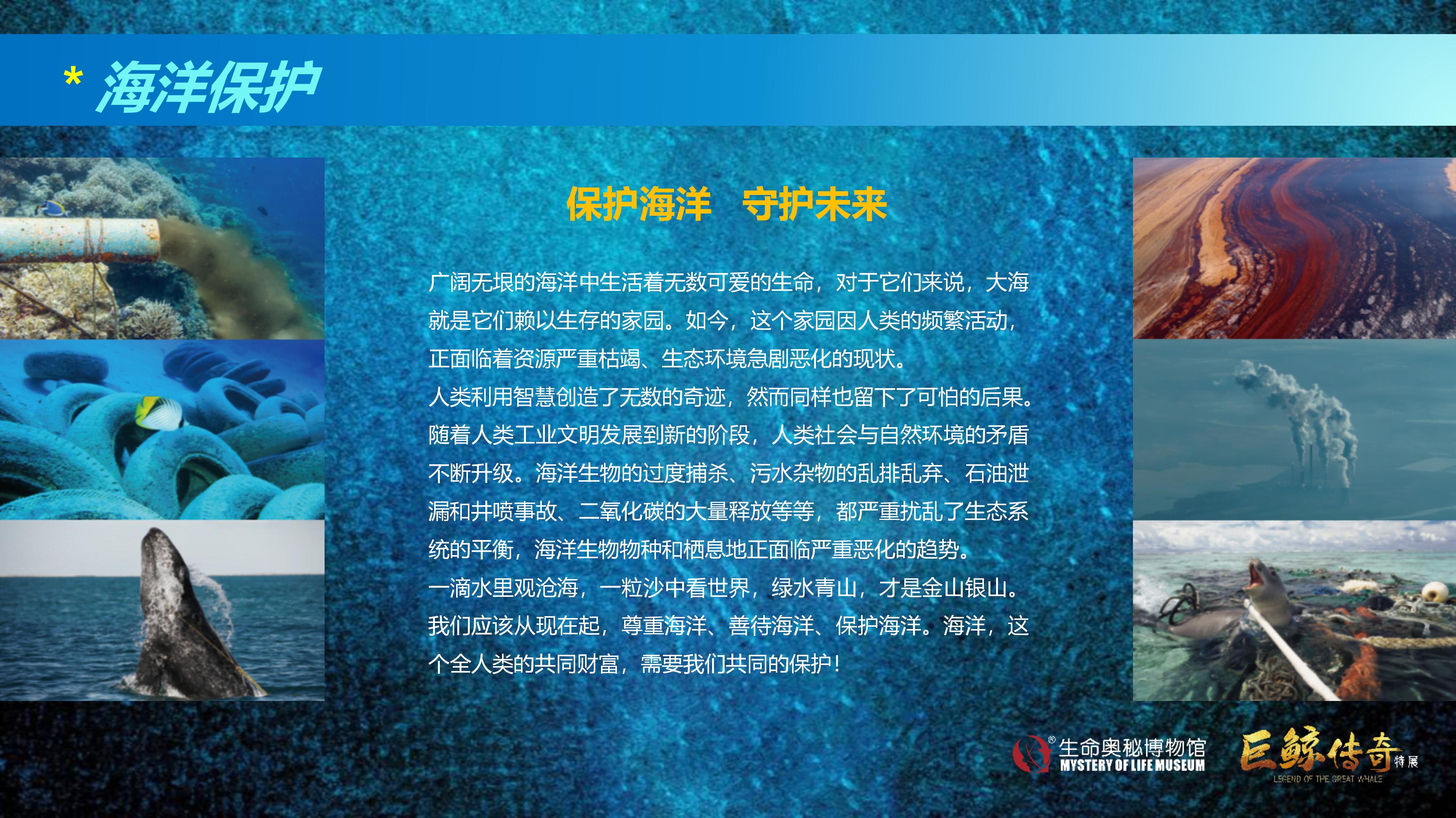 巨鲸传奇展览推介资料2020.11.09_71.jpg