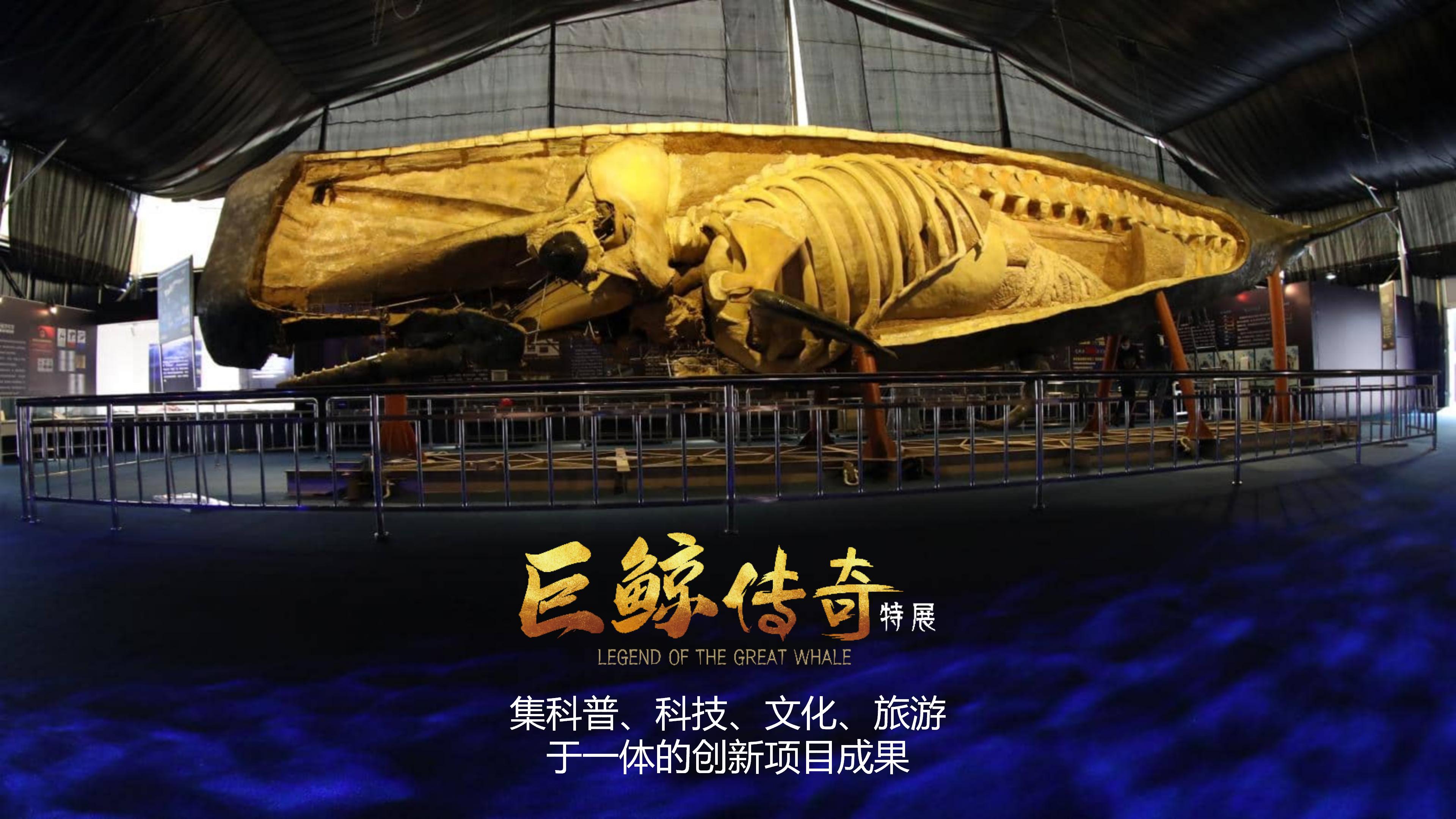 巨鲸传奇展览推介资料2020.11.09_73.jpg
