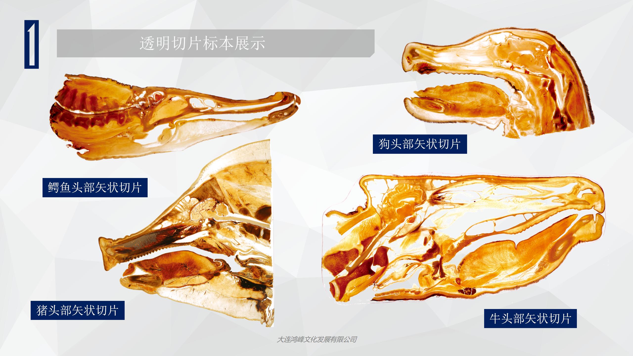 “玲珑剔透”主题展览介绍_09.jpg