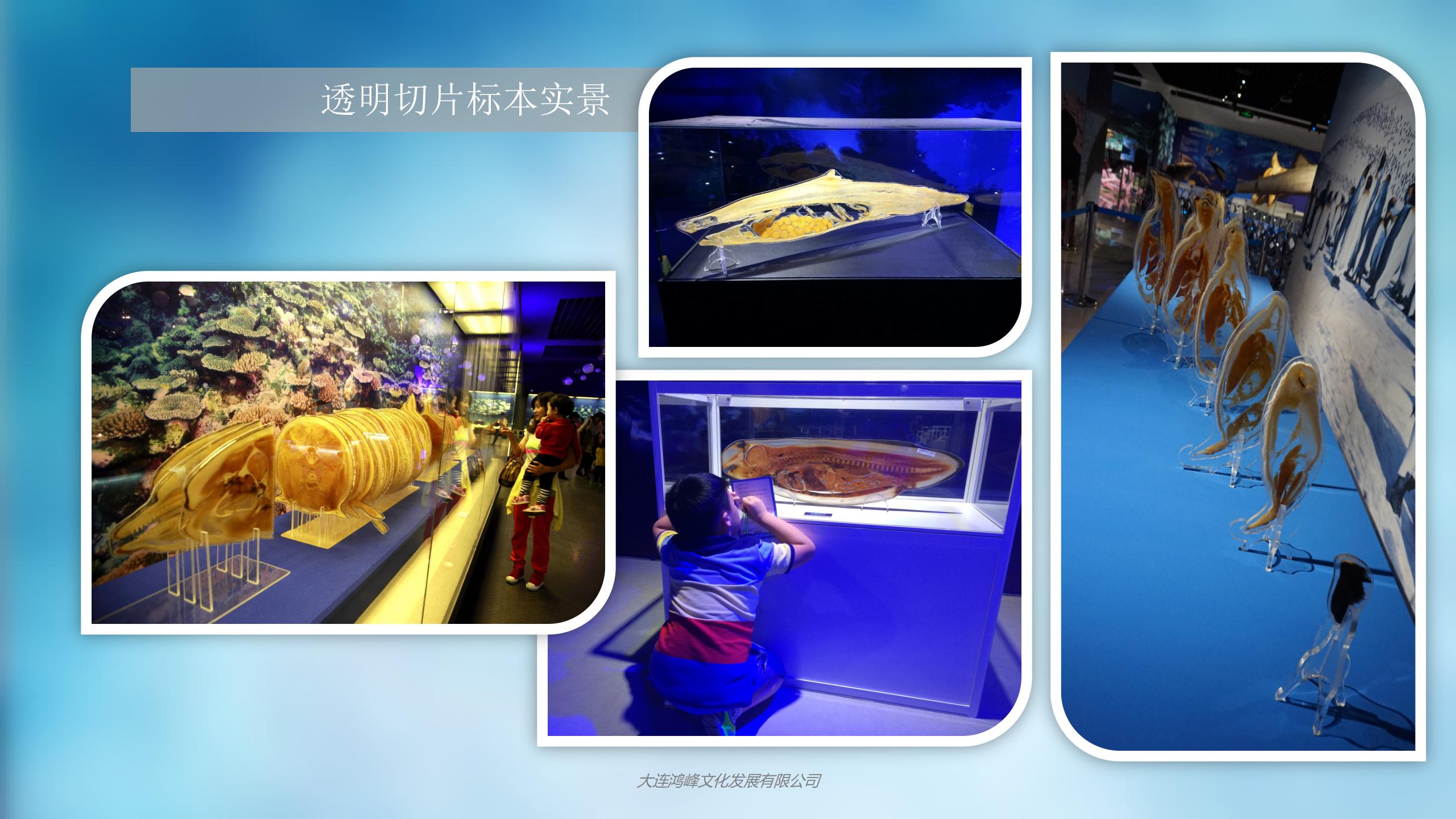 “玲珑剔透”主题展览介绍_18.jpg