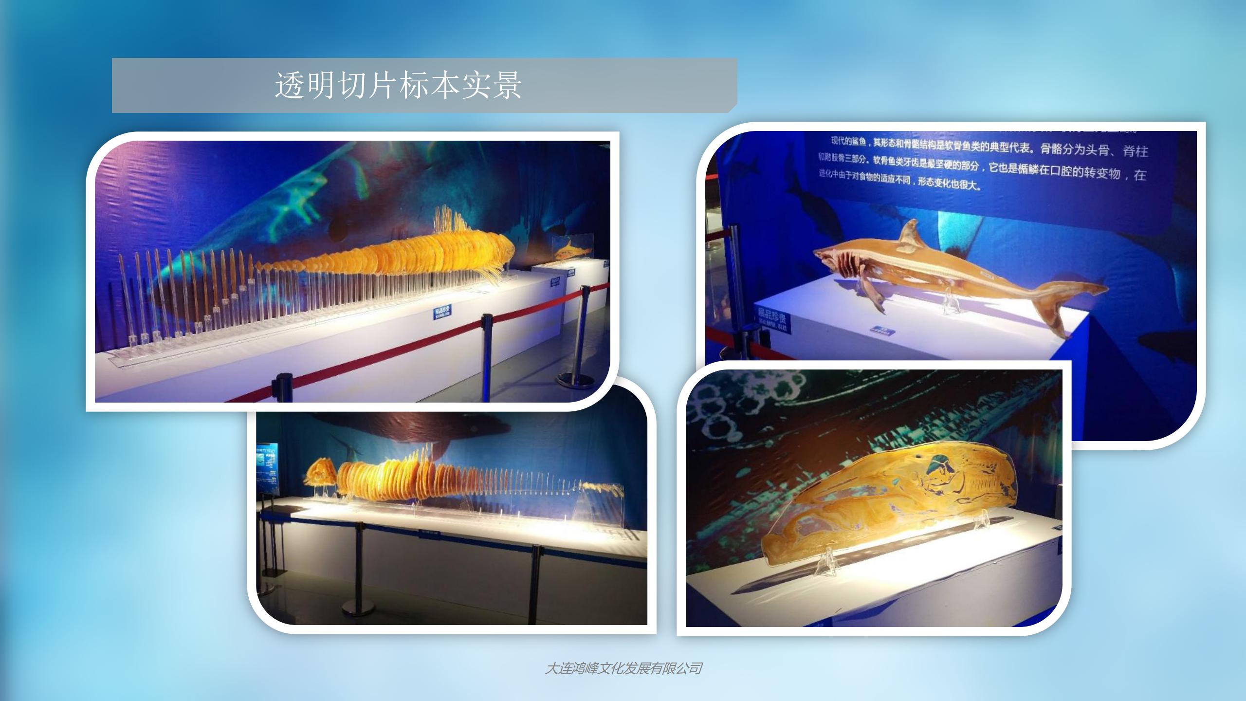 “玲珑剔透”主题展览介绍_17.jpg