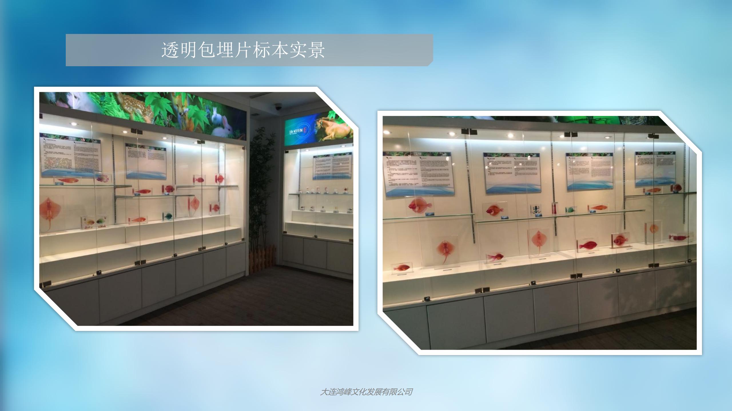 “玲珑剔透”主题展览介绍_16.jpg