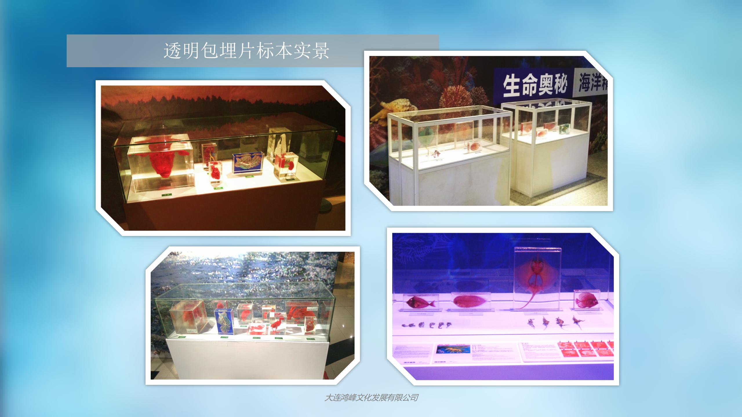 “玲珑剔透”主题展览介绍_19.jpg
