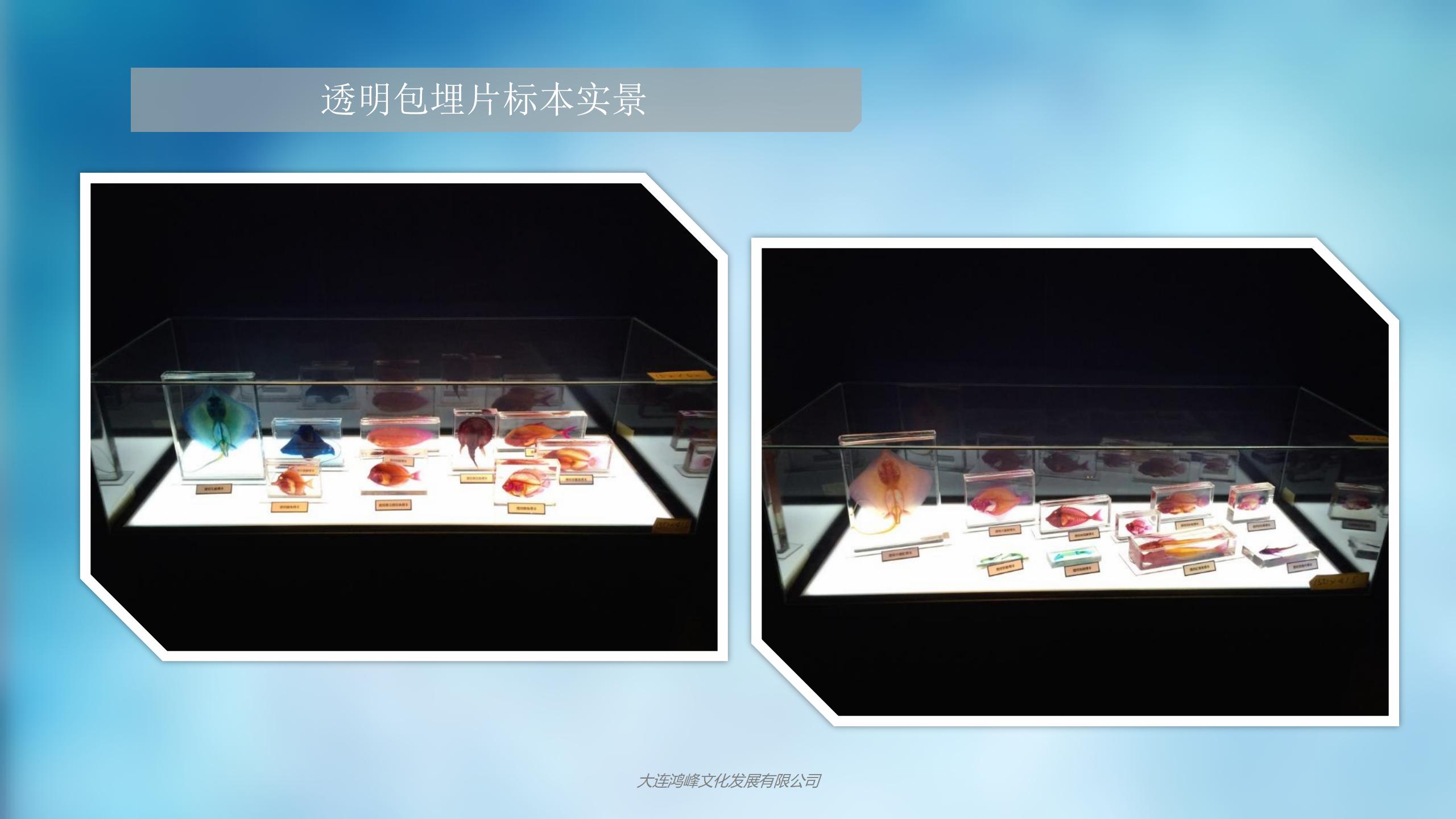 “玲珑剔透”主题展览介绍_15.jpg