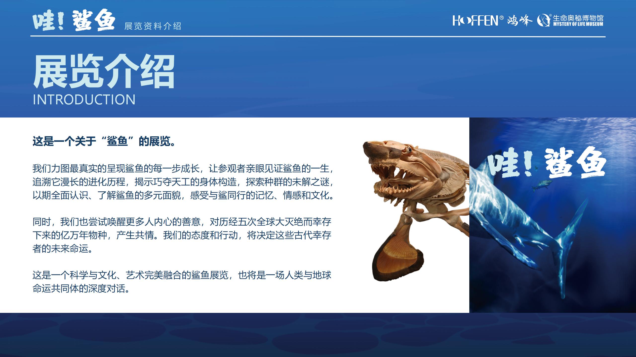 鲨鱼展推介0218(1)_03.jpg