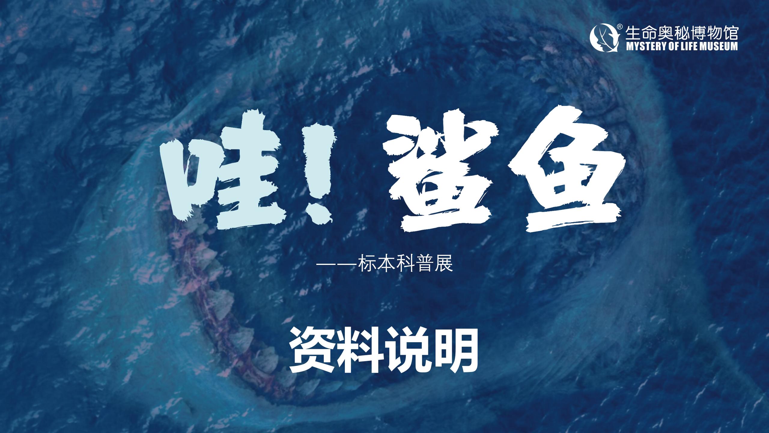 鲨鱼展推介0218(1)_01.jpg