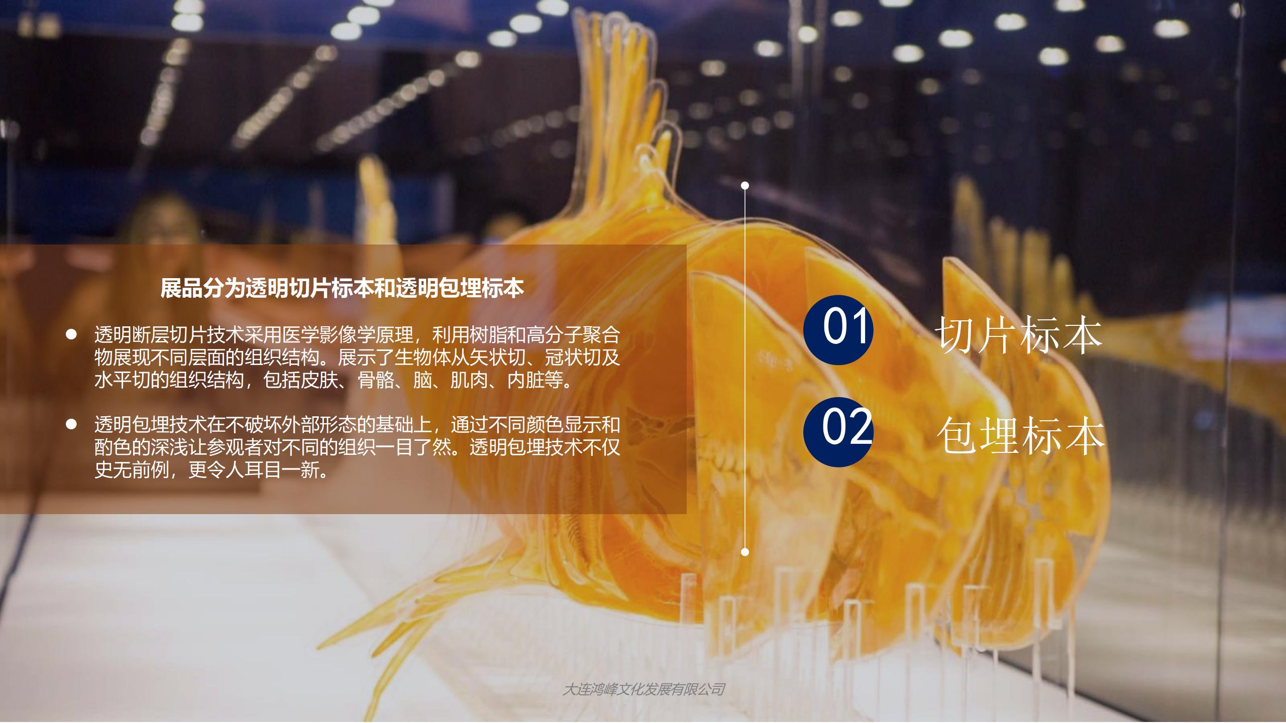 “玲珑剔透”主题展览介绍_03.jpg