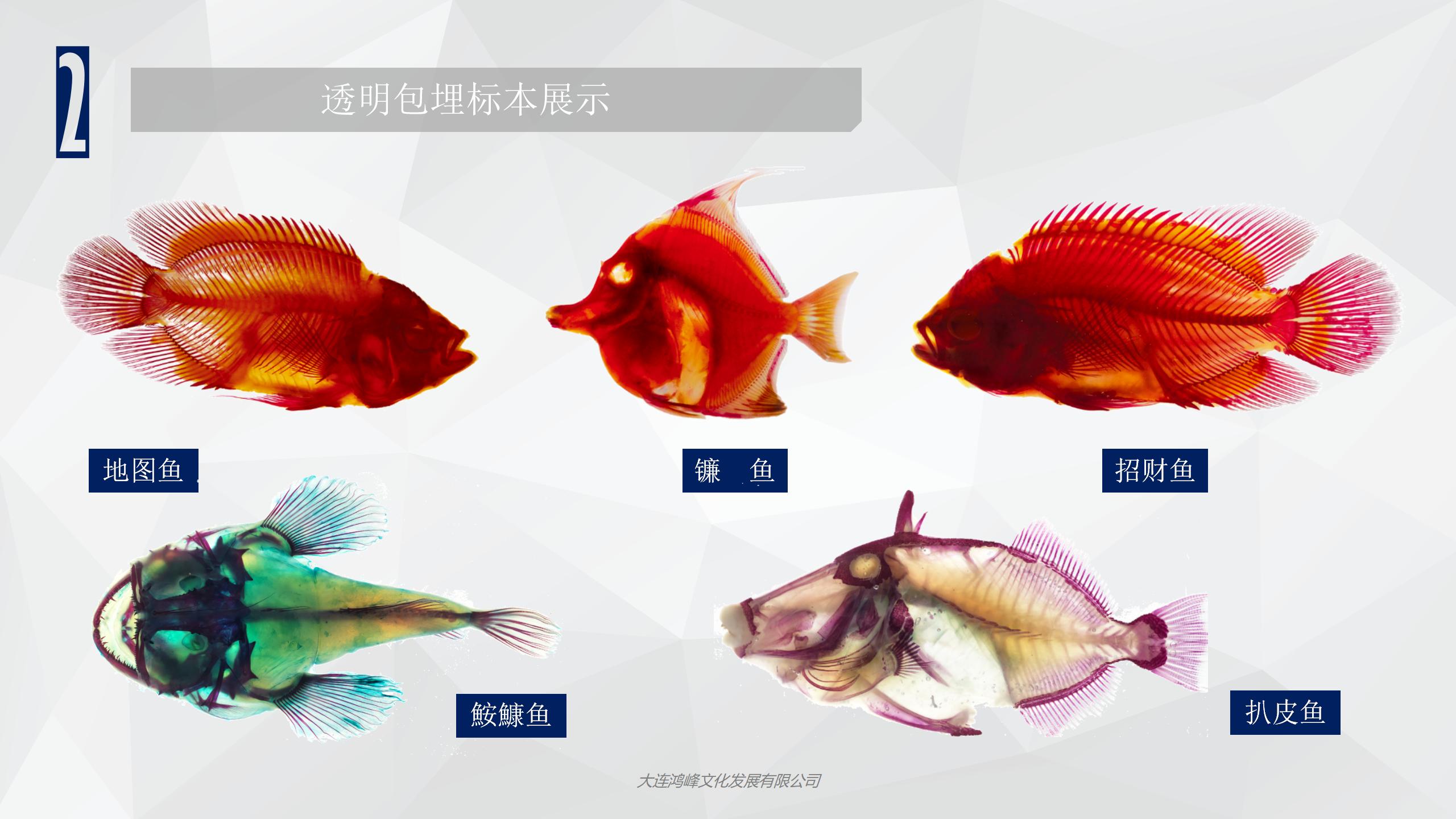 “玲珑剔透”主题展览介绍_11.jpg