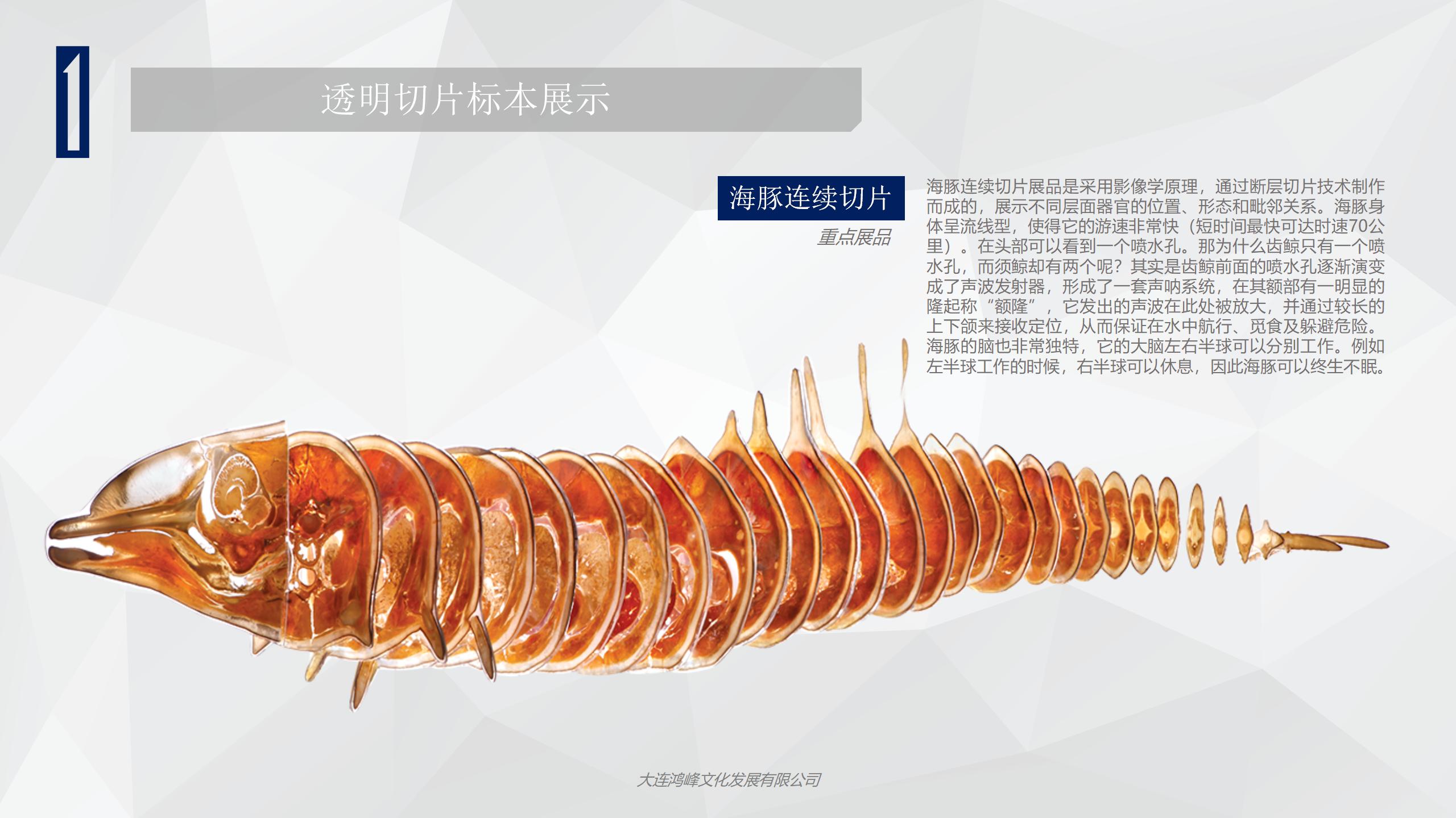 “玲珑剔透”主题展览介绍_04.jpg