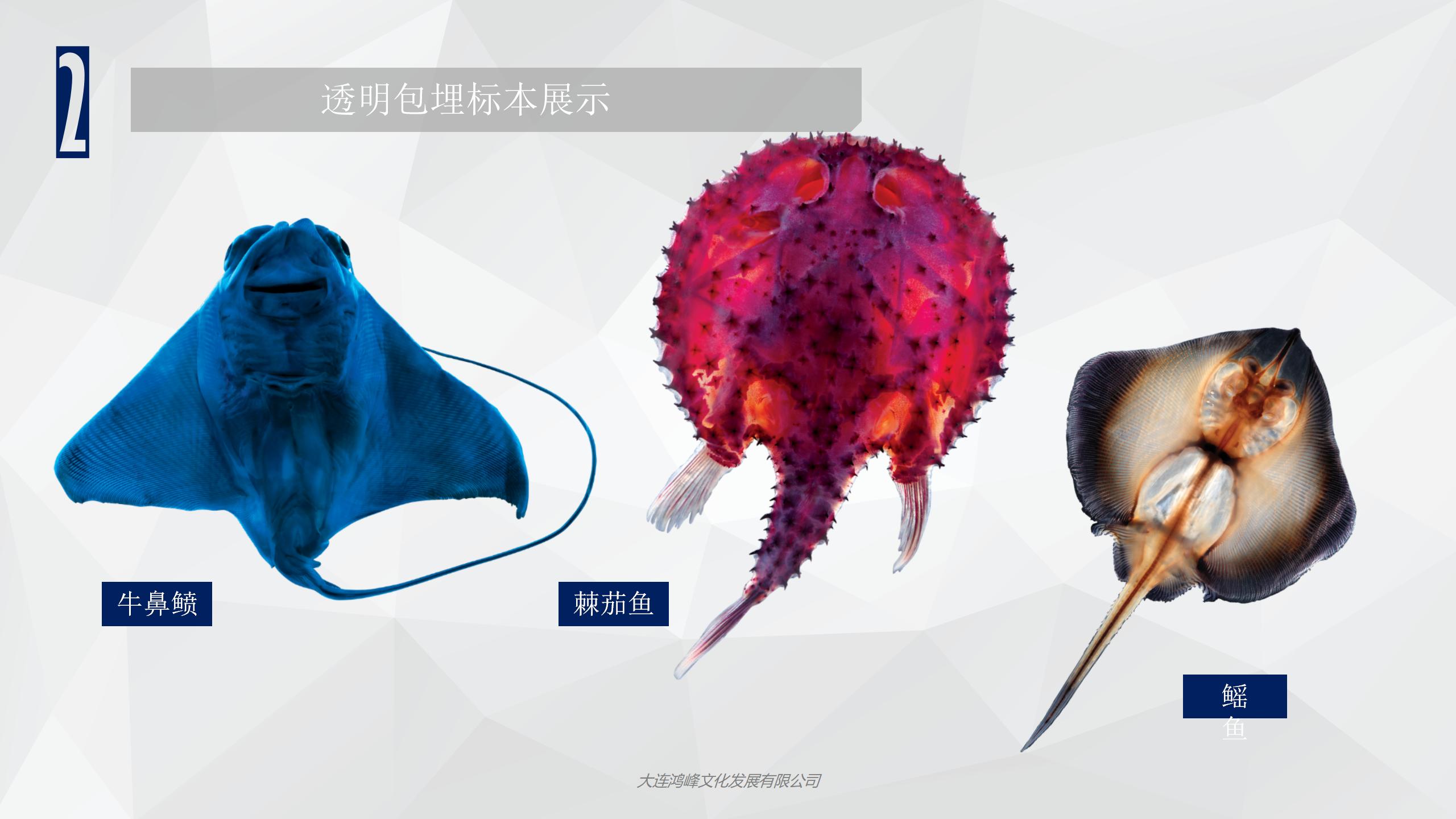 “玲珑剔透”主题展览介绍_10.jpg