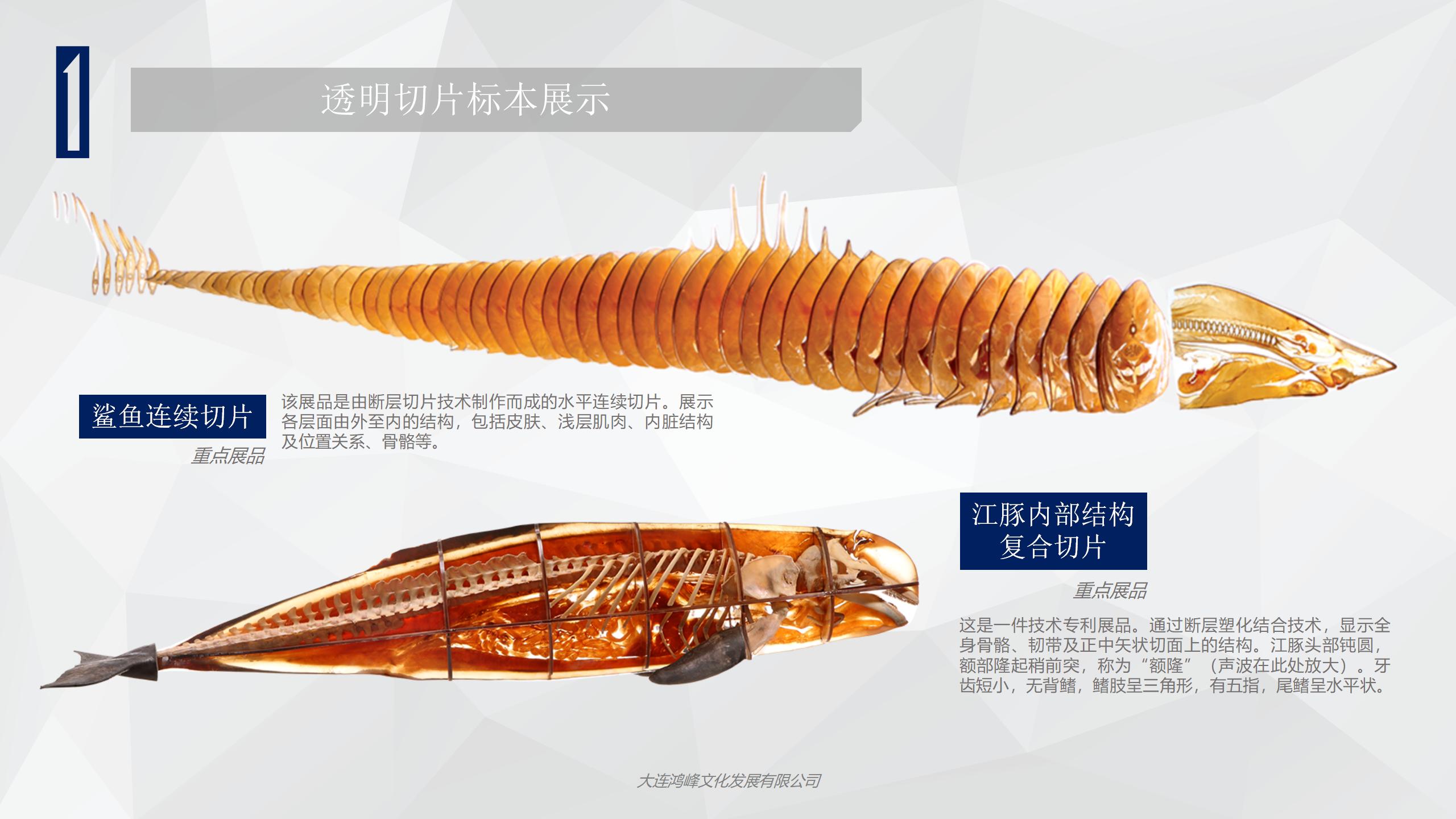 “玲珑剔透”主题展览介绍_06.jpg
