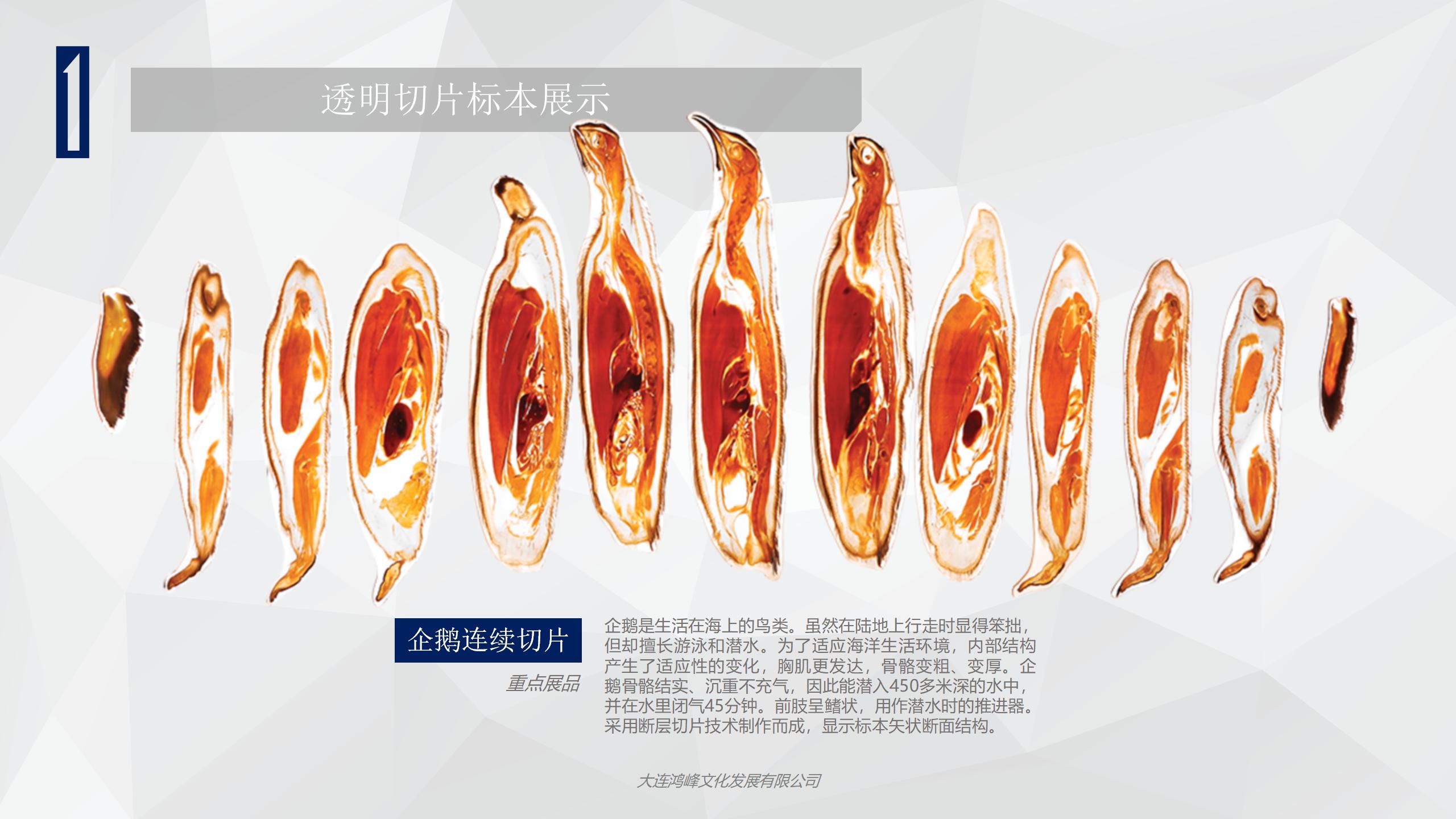 “玲珑剔透”主题展览介绍_05.jpg