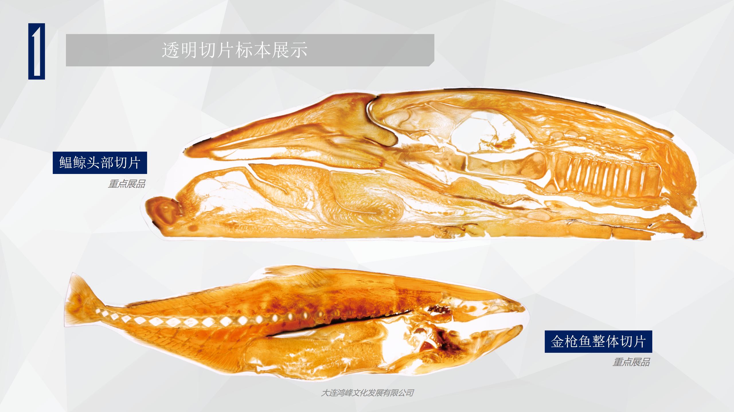 “玲珑剔透”主题展览介绍_08.jpg