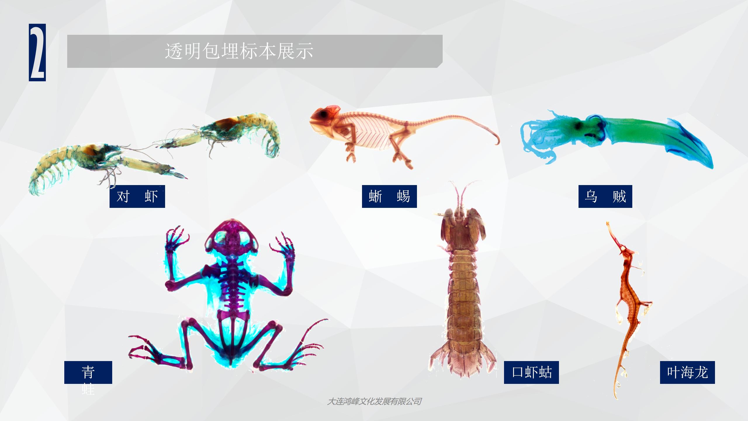 “玲珑剔透”主题展览介绍_12.jpg