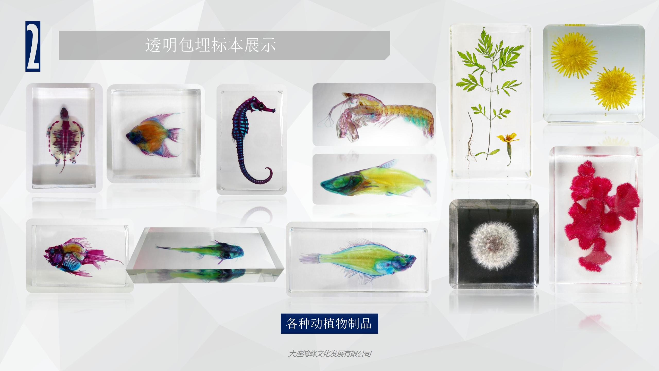“玲珑剔透”主题展览介绍_13.jpg