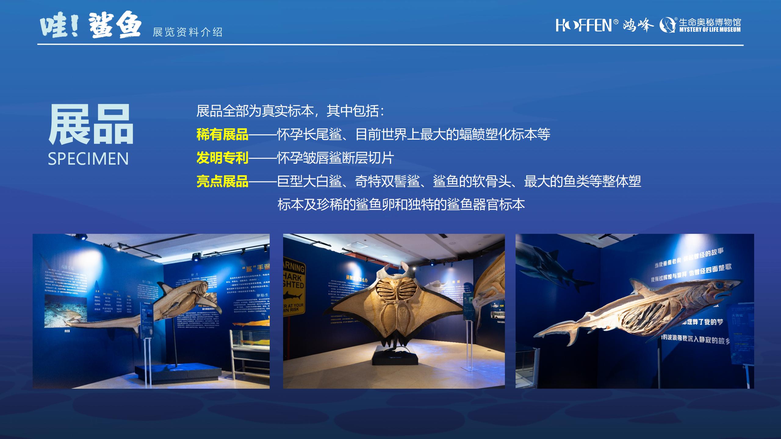 鲨鱼展推介0218(1)_09.jpg