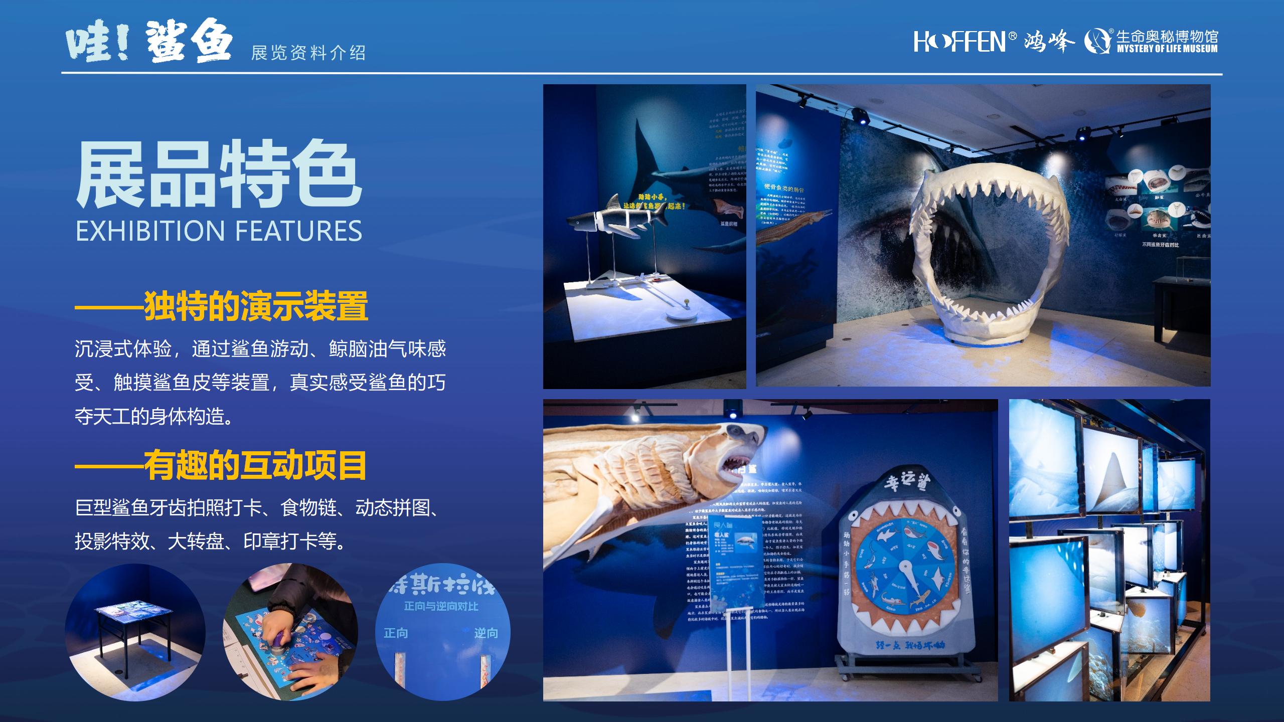 鲨鱼展推介0218(1)_07.jpg