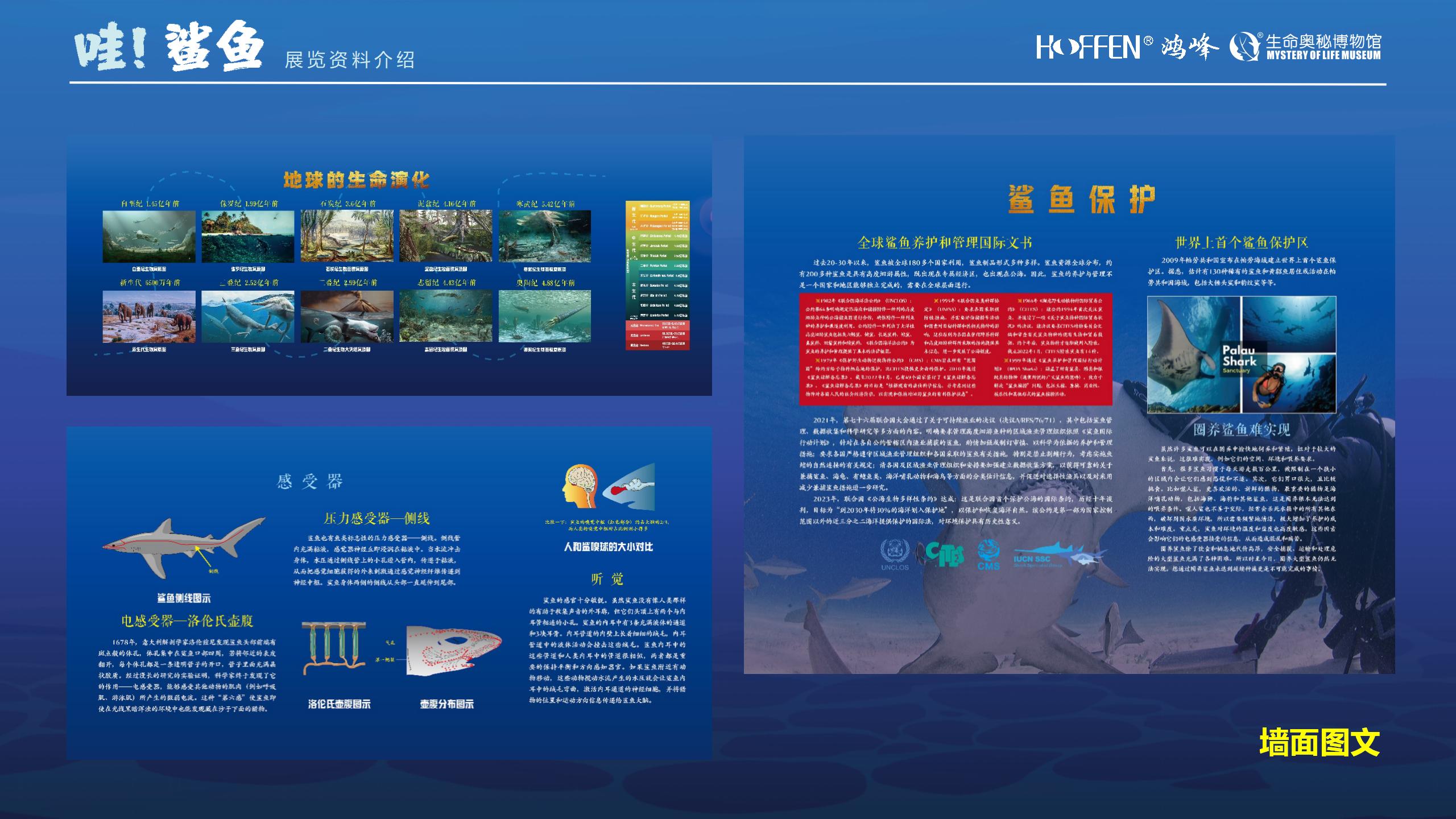 鲨鱼展推介0218(1)_13.jpg