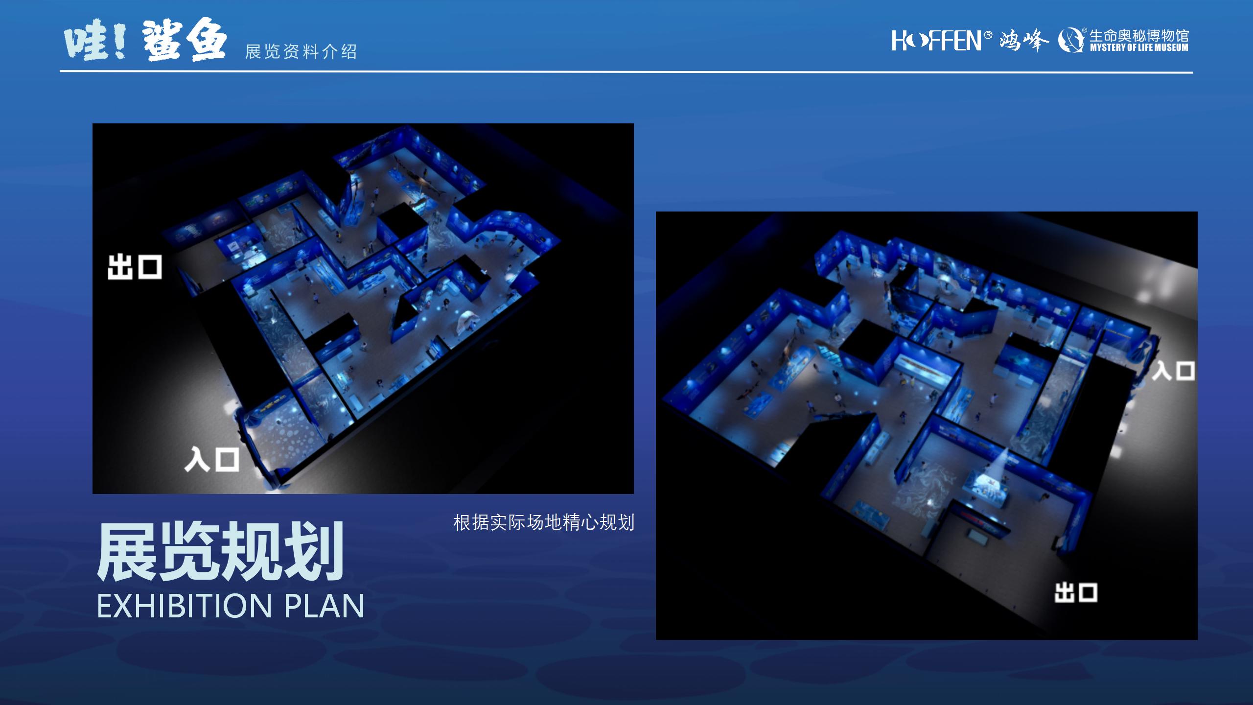 鲨鱼展推介0218(1)_05.jpg