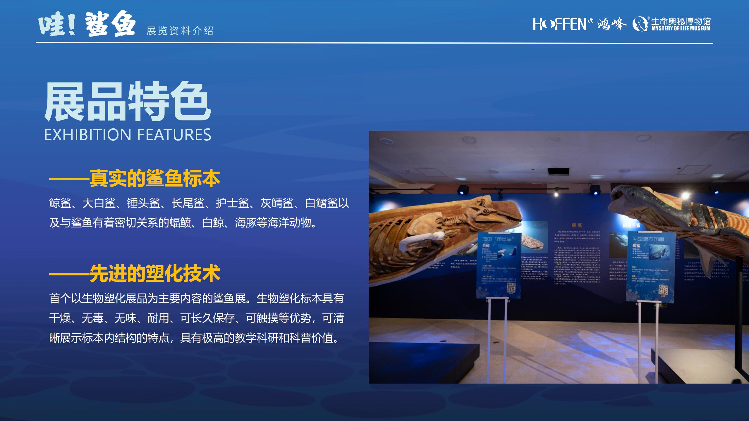 鲨鱼展推介0218(1)_06.jpg