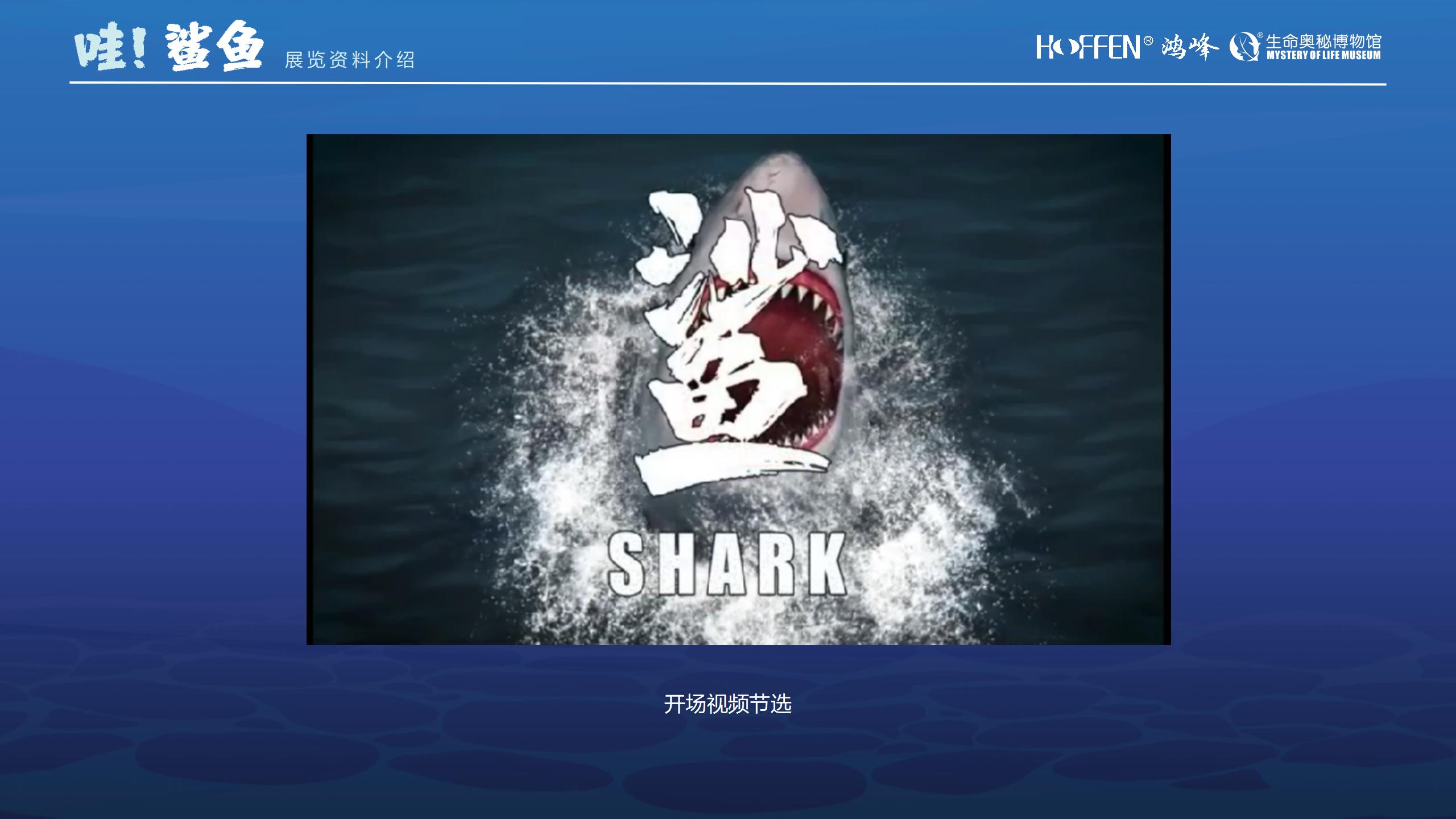 鲨鱼展推介0218(1)_14.jpg