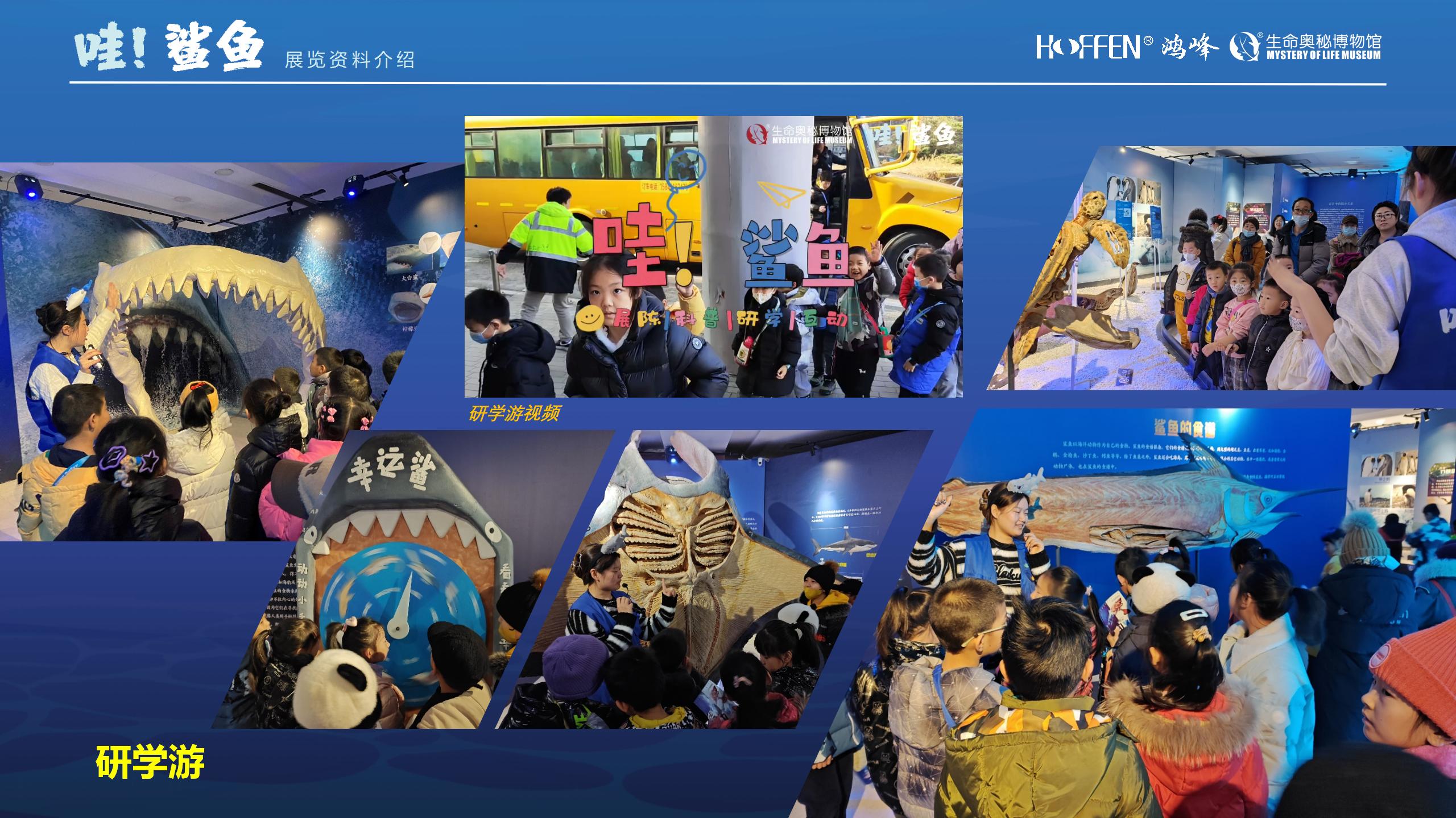 鲨鱼展推介0218(1)_17.jpg