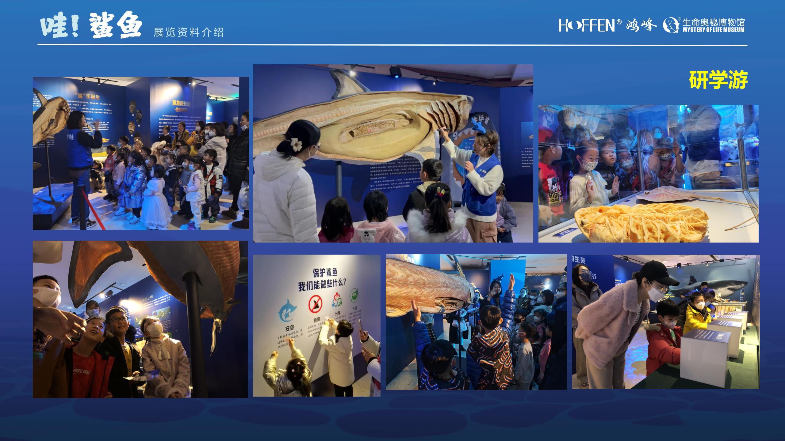鲨鱼展推介0218(1)_16.jpg