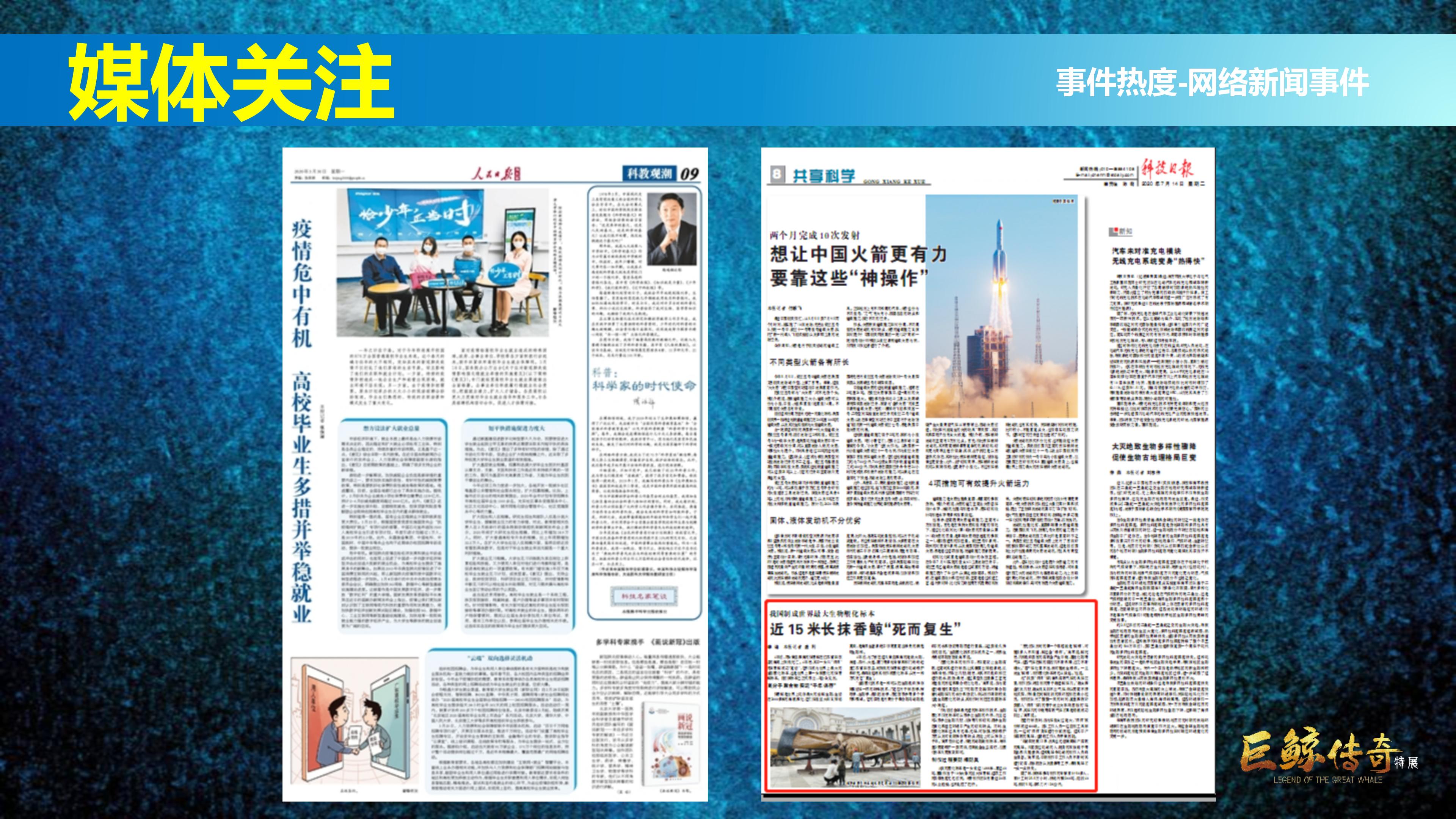 巨鲸传奇展览推介资料2020.11.09_06.jpg