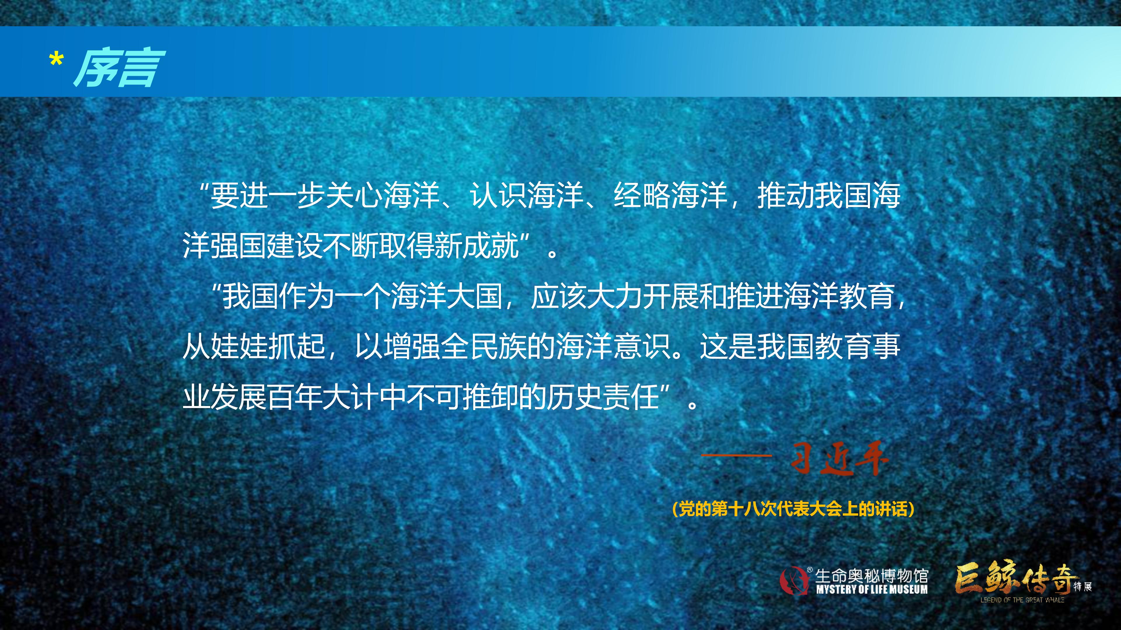 巨鲸传奇展览推介资料2020.11.09_19.jpg