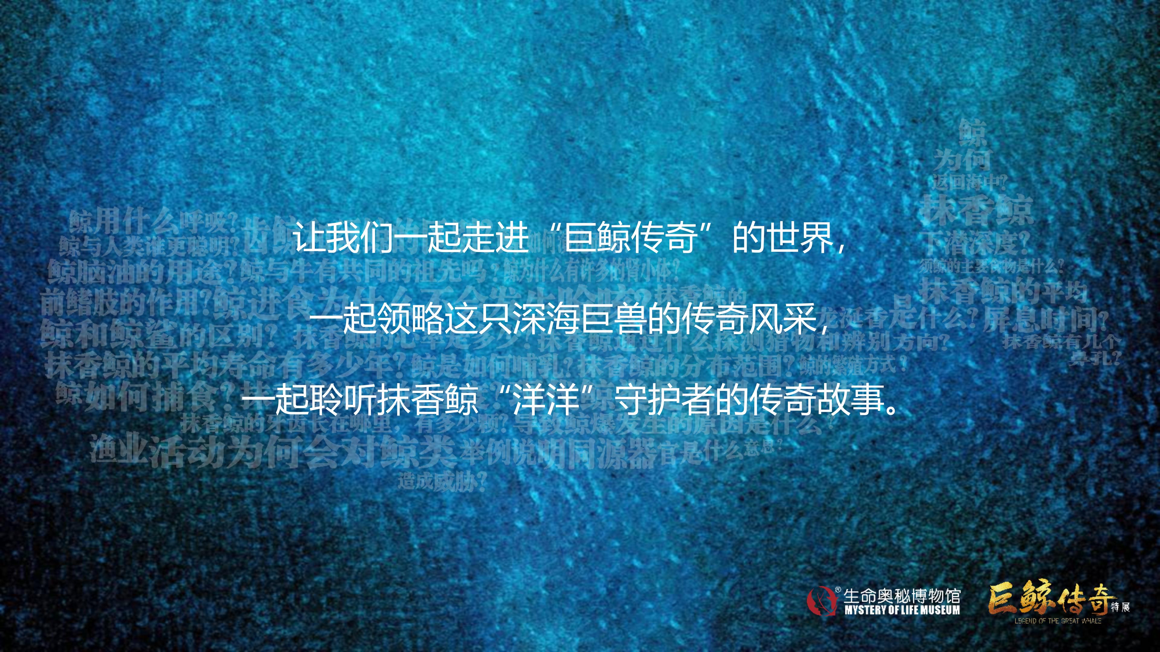 巨鲸传奇展览推介资料2020.11.09_14.jpg