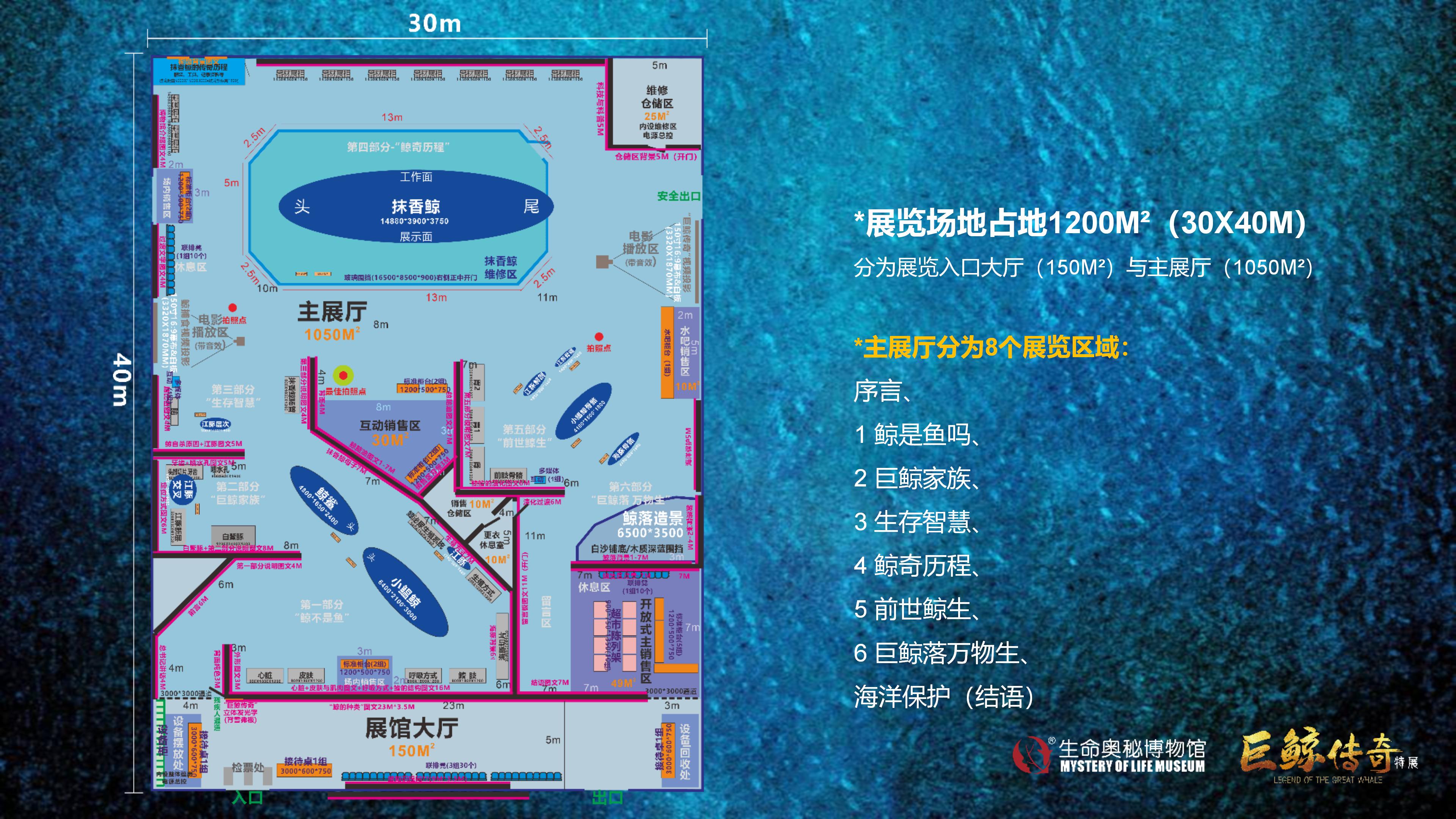 巨鲸传奇展览推介资料2020.11.09_16.jpg