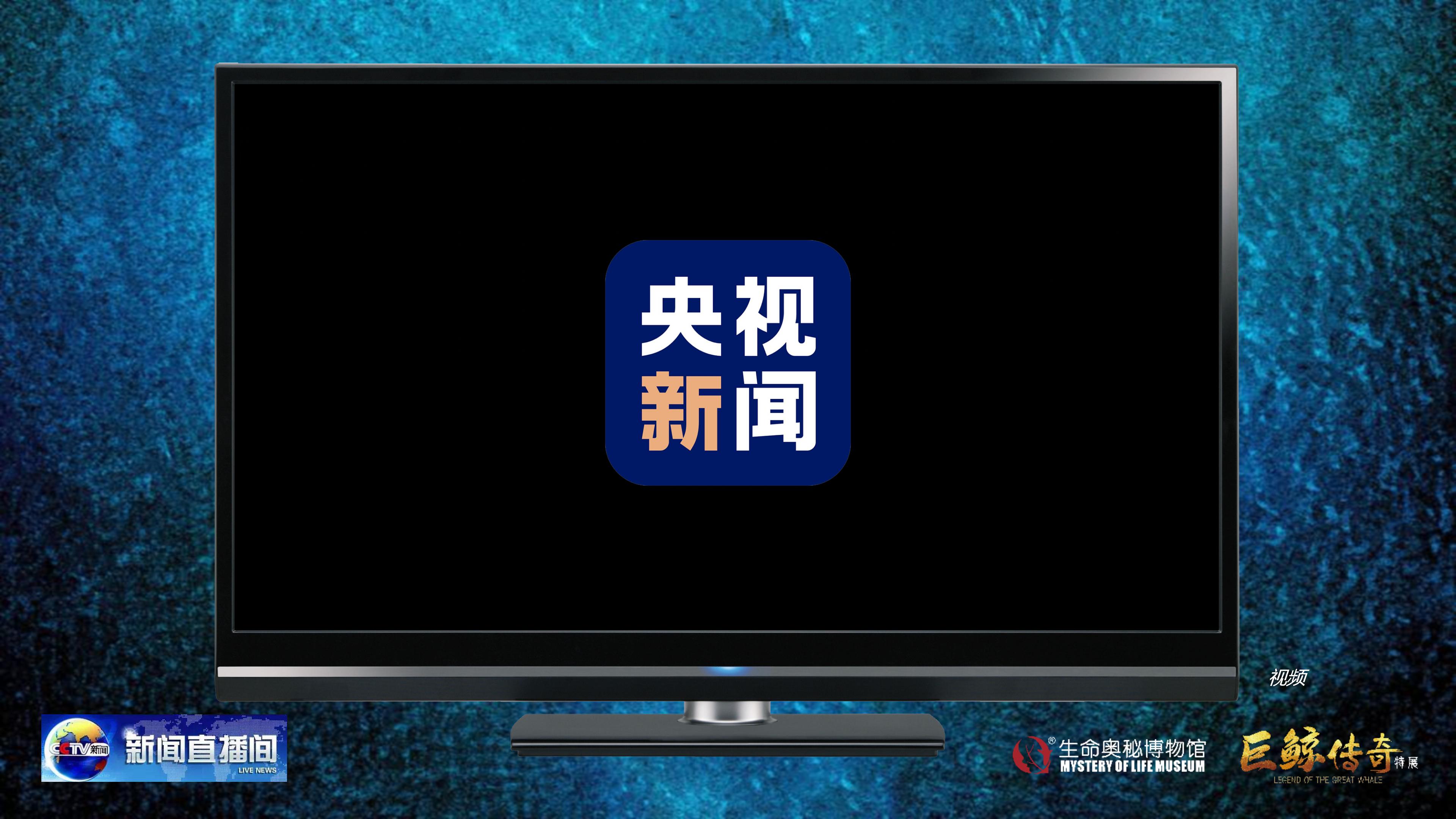 巨鲸传奇展览推介资料2020.11.09_15.jpg