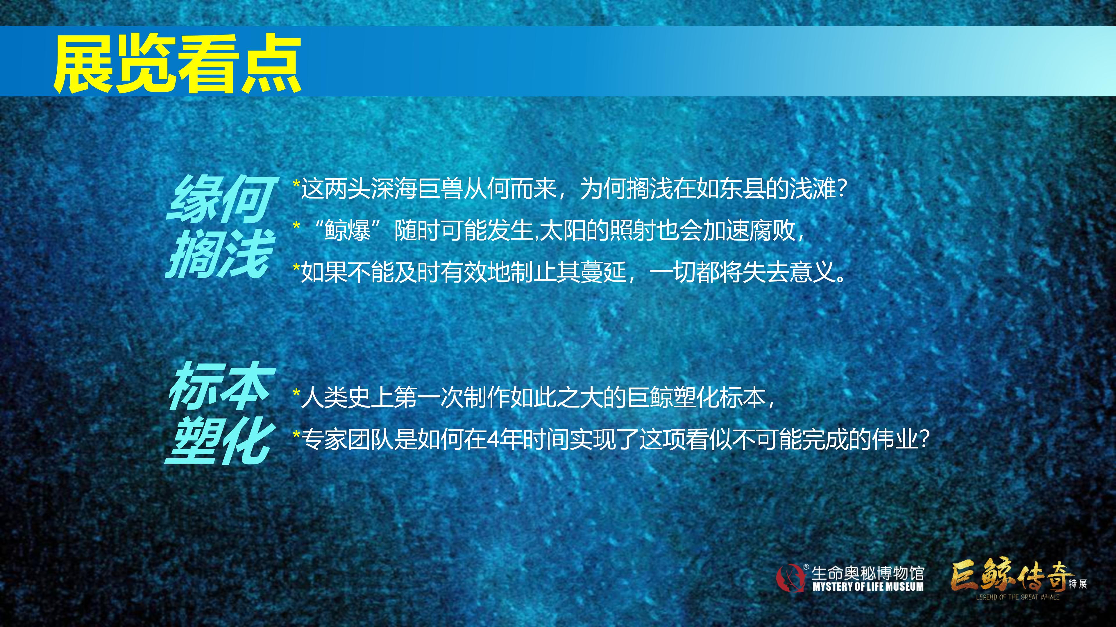 巨鲸传奇展览推介资料2020.11.09_13.jpg