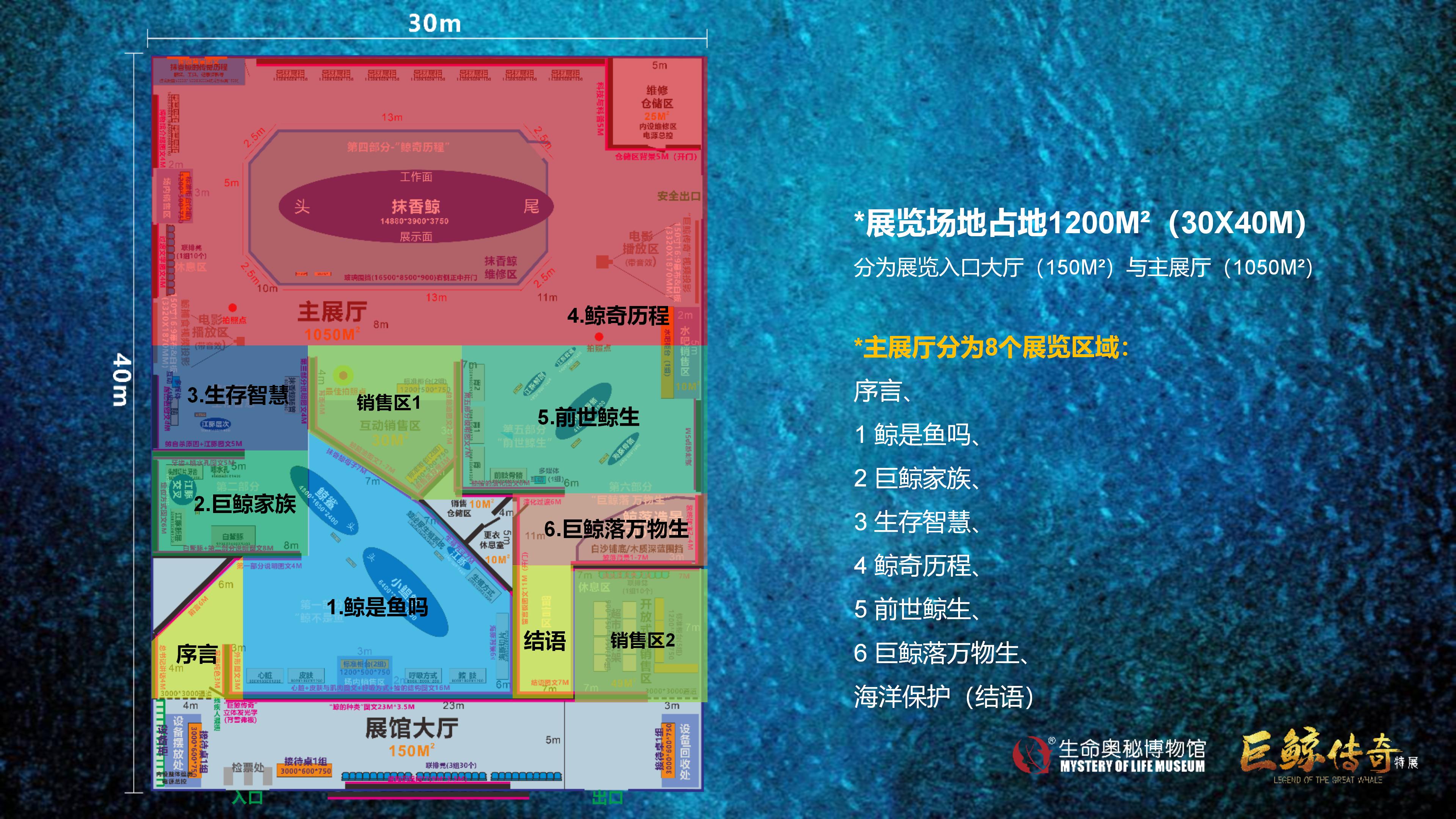 巨鲸传奇展览推介资料2020.11.09_17.jpg