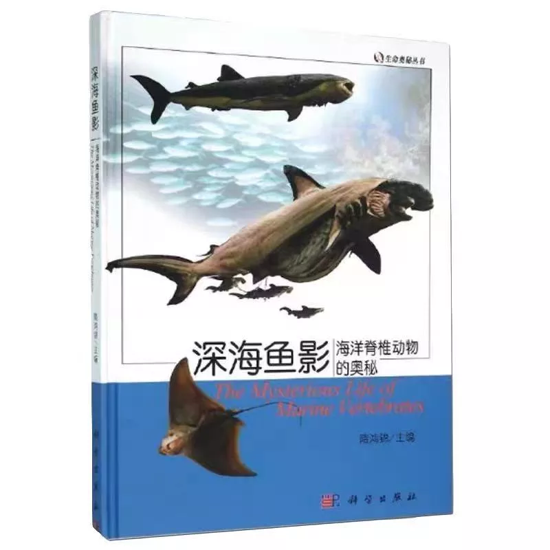 深海鱼影