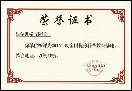 中国科学技术学会