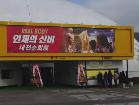 韩国 大田