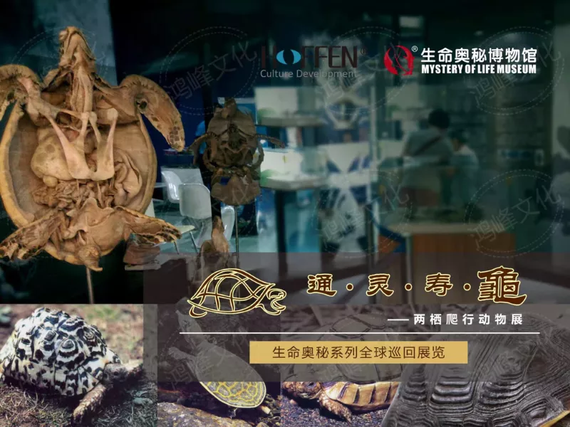 2020两栖爬行动物展推介