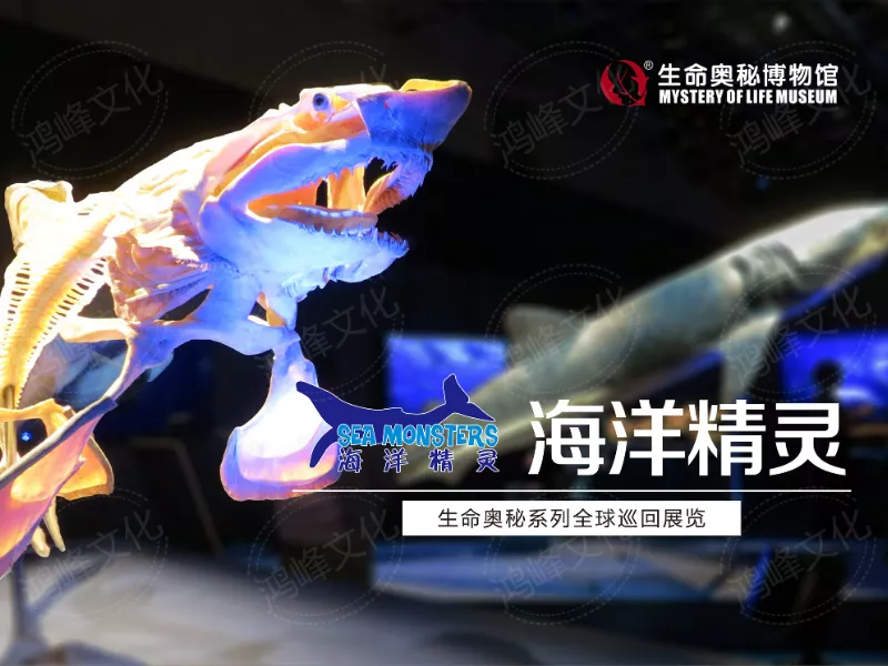海洋精灵推介