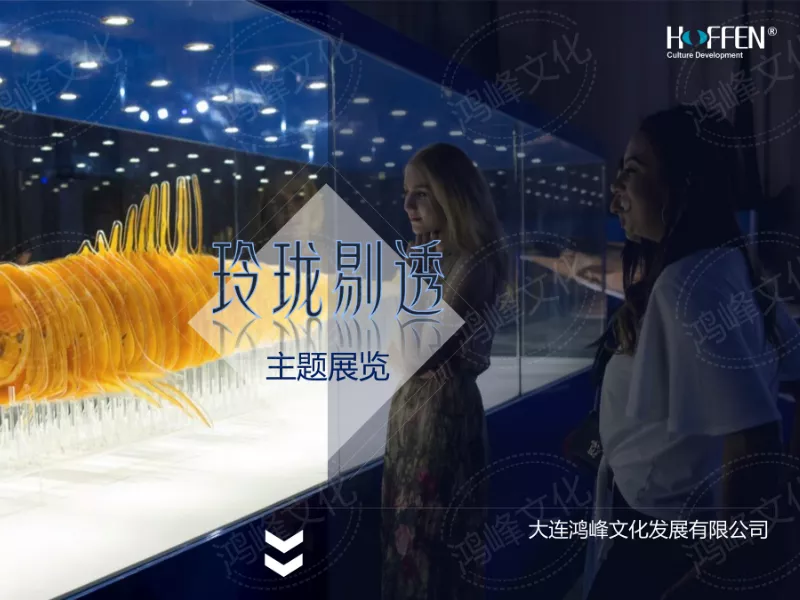 “玲珑剔透”主题展览介绍