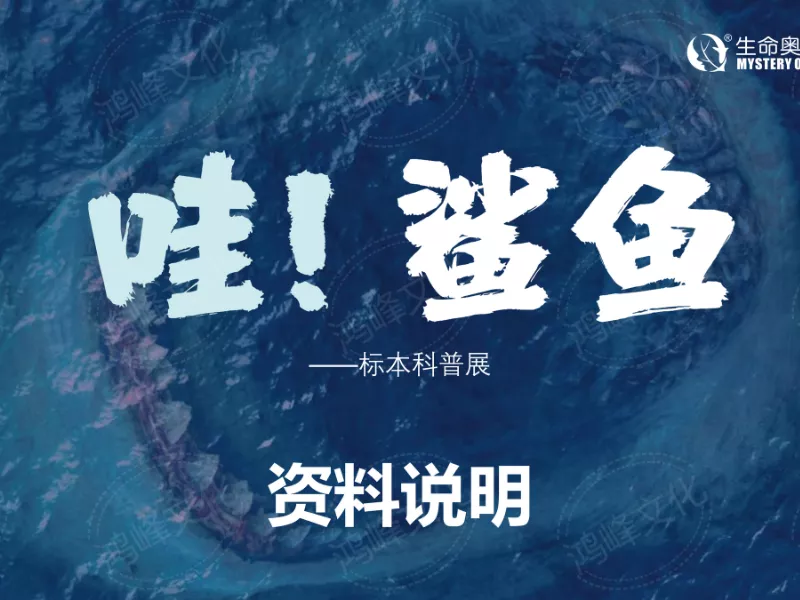 鲨鱼展推介